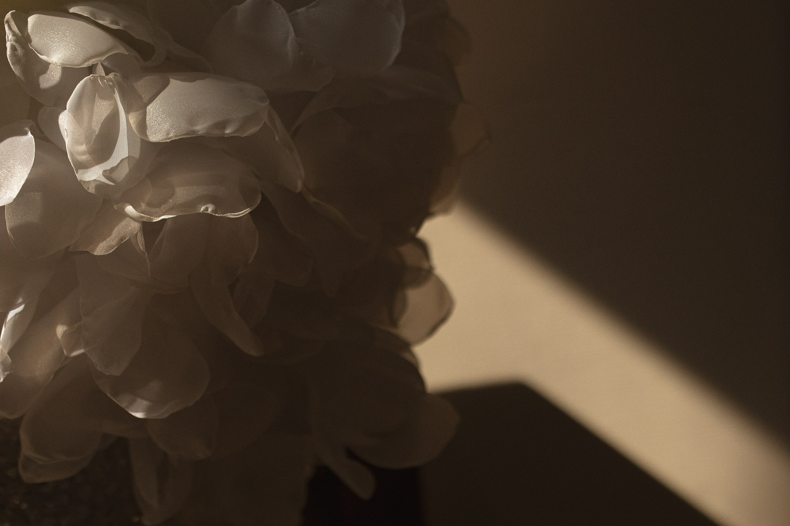 Фокус на свете. Фотограф Вышний Волочек/Тверь/Москва/Санкт-Петербург