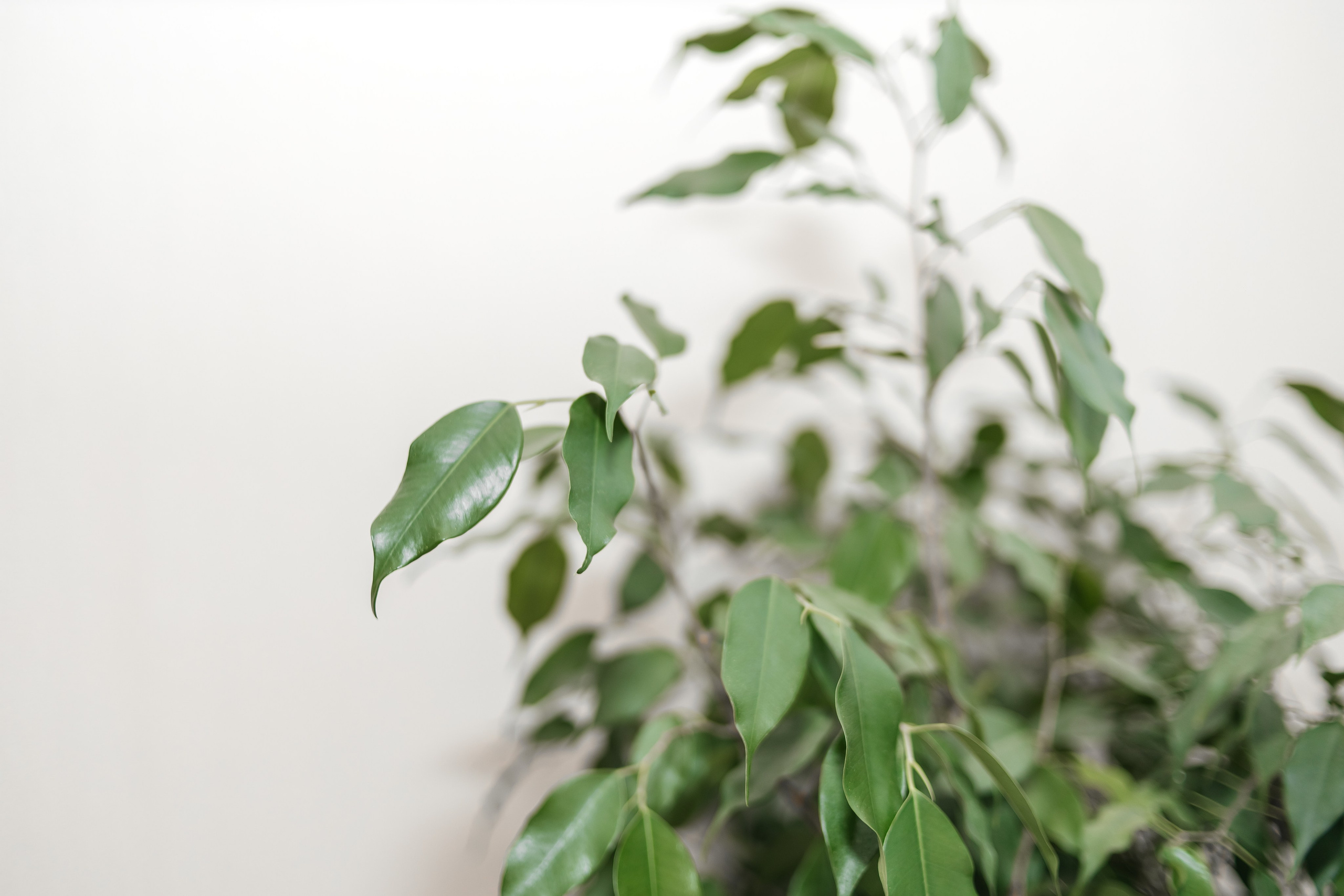 Контент съемка для врача невролога. Свадебный и семейный фотограф в Краснодарском крае Мария Данилкина