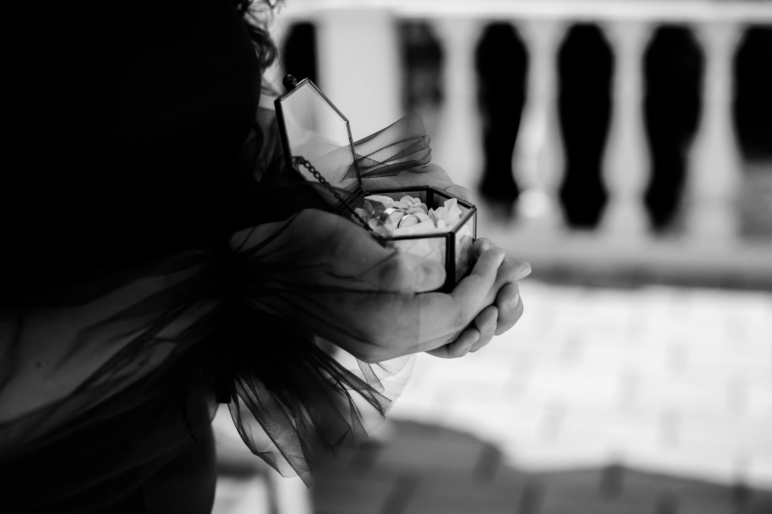 Владислав и Анастасия. Свадебный и семейный фотограф Витебск, Минск, Андрей Павлов