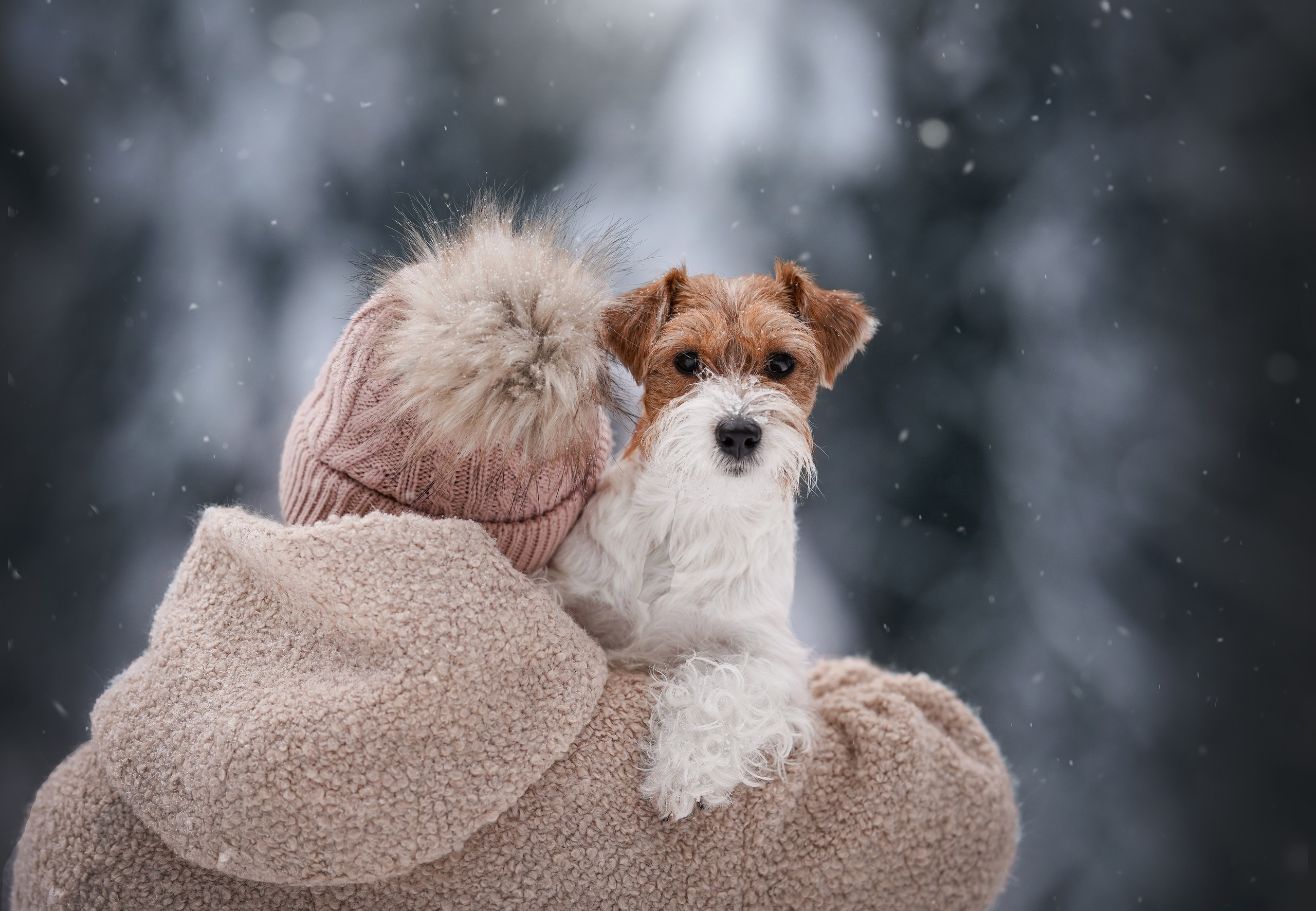 Люба и Тося. Фотограф-анималист в Санкт-Петербурге Яна Мартынова