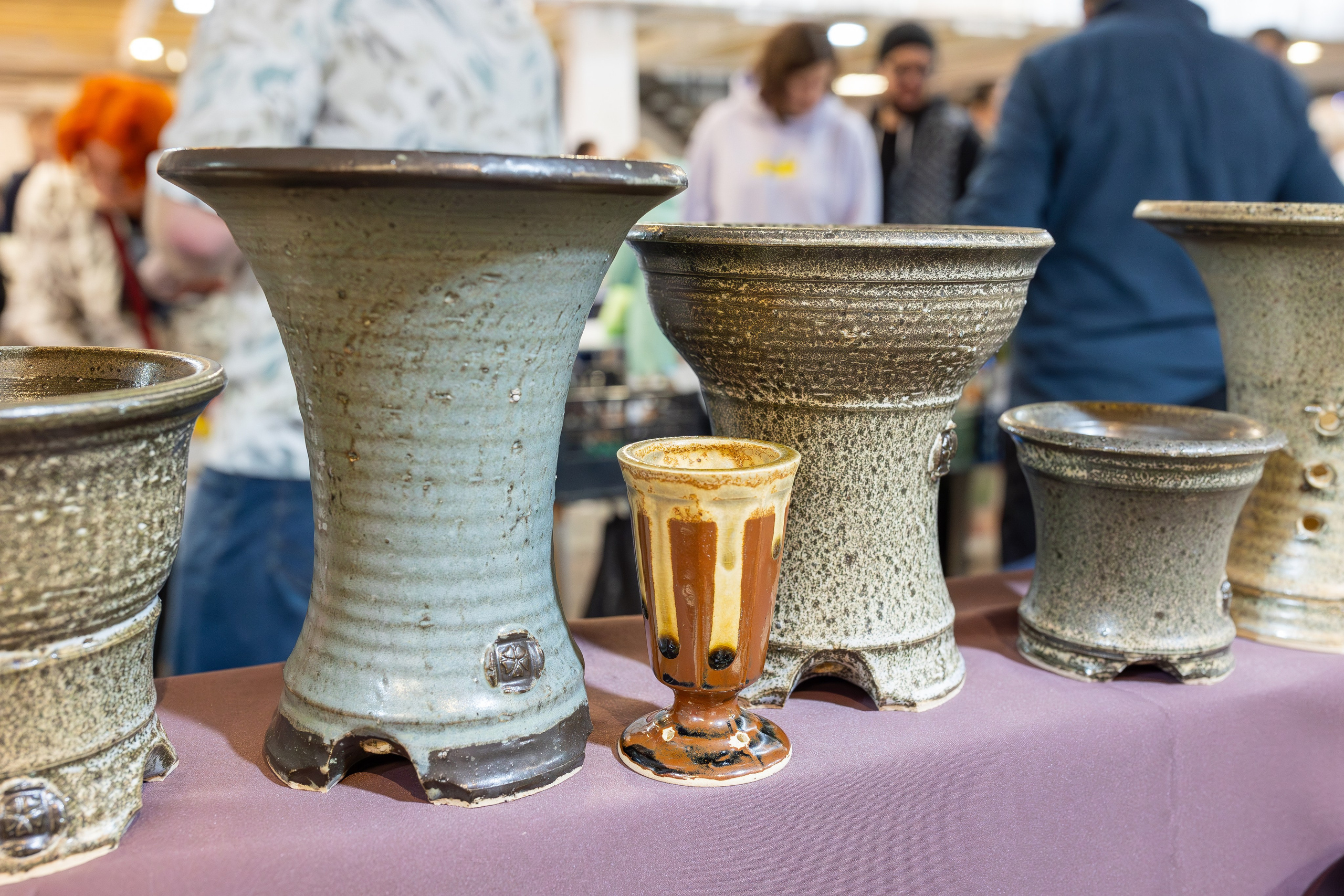 Кактус Фест. Александра Куликова фотограф, Москва