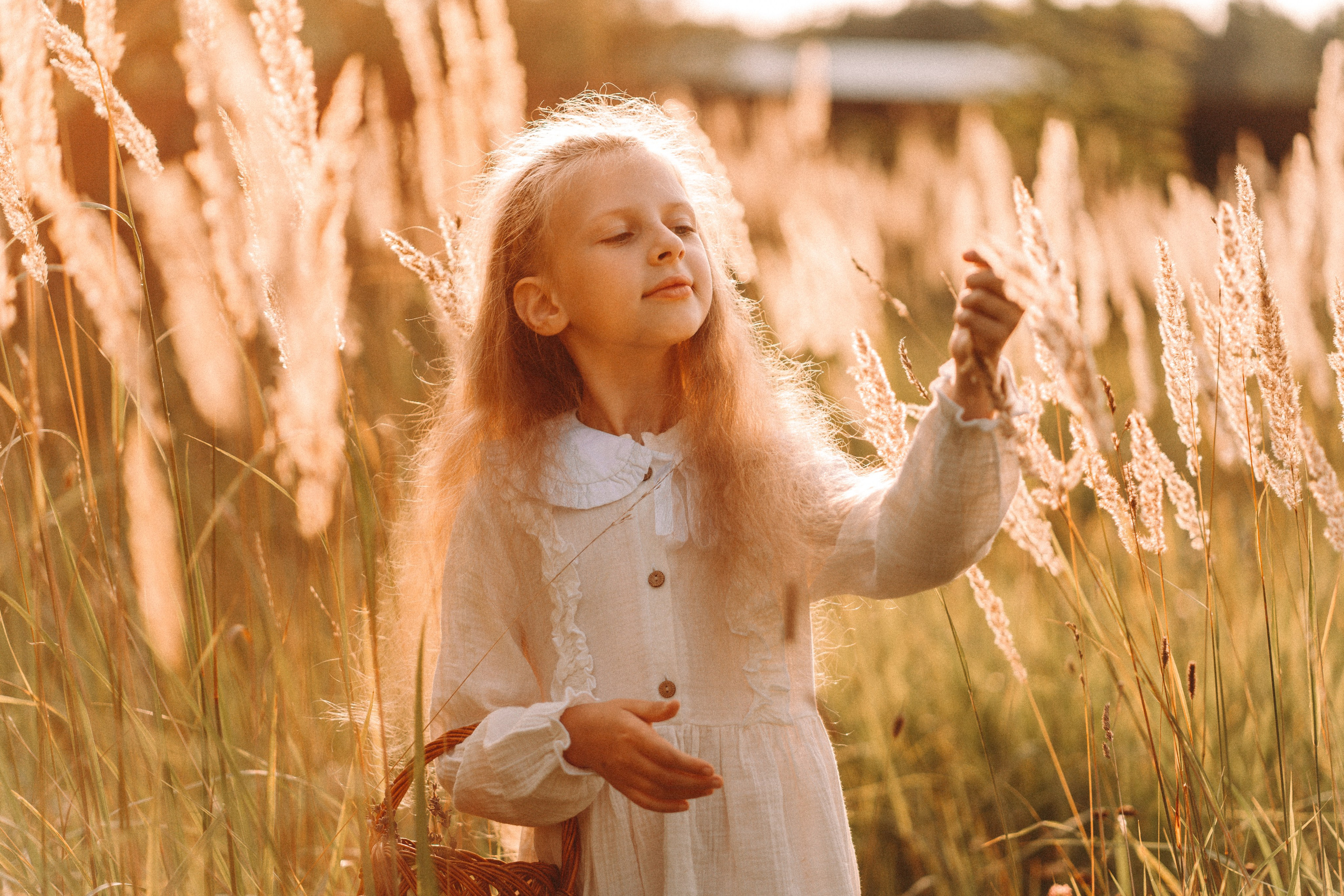 Летнее золото в волосах. Главная