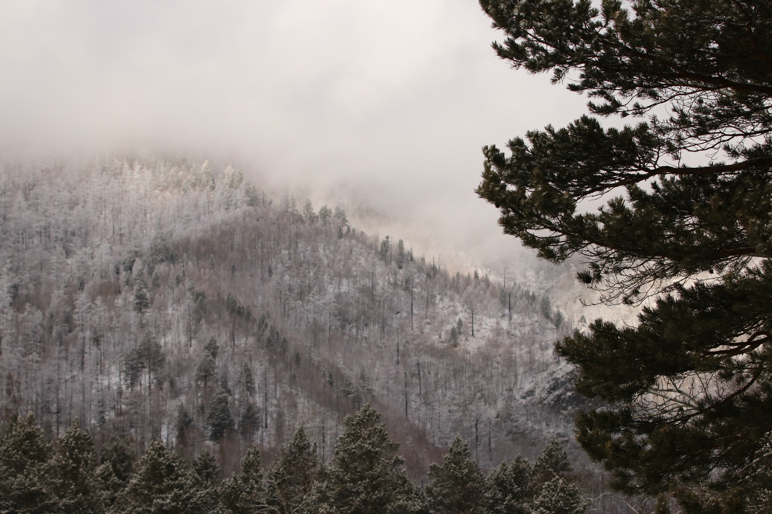 Аршан. Март 2023. Путешественник-фотограф из Санкт-Петербурга Татьяна Свистулина