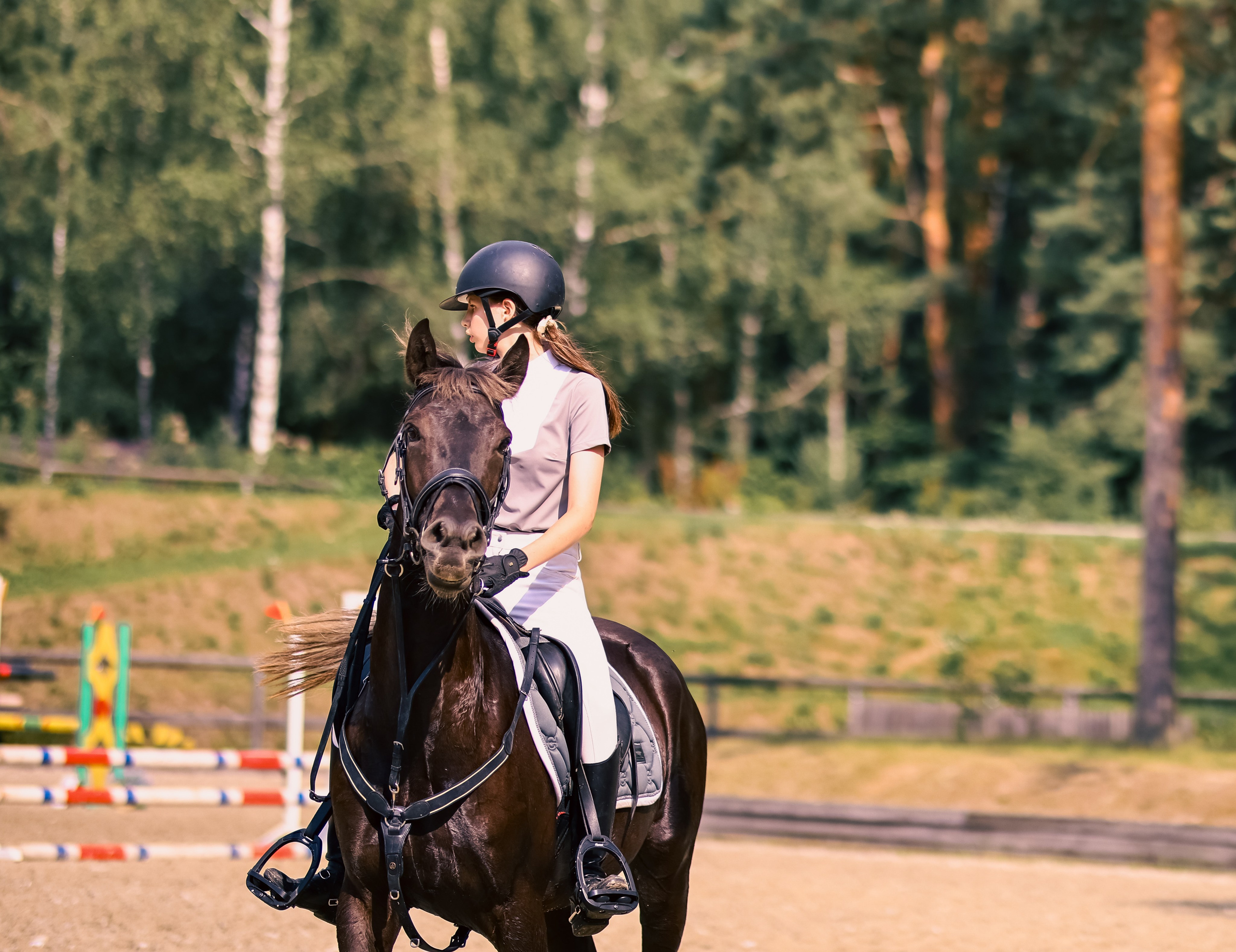 Соревнования по конному спорту. Фотограф репортажей и стритфотосессий в Москве Людмила Смирнова