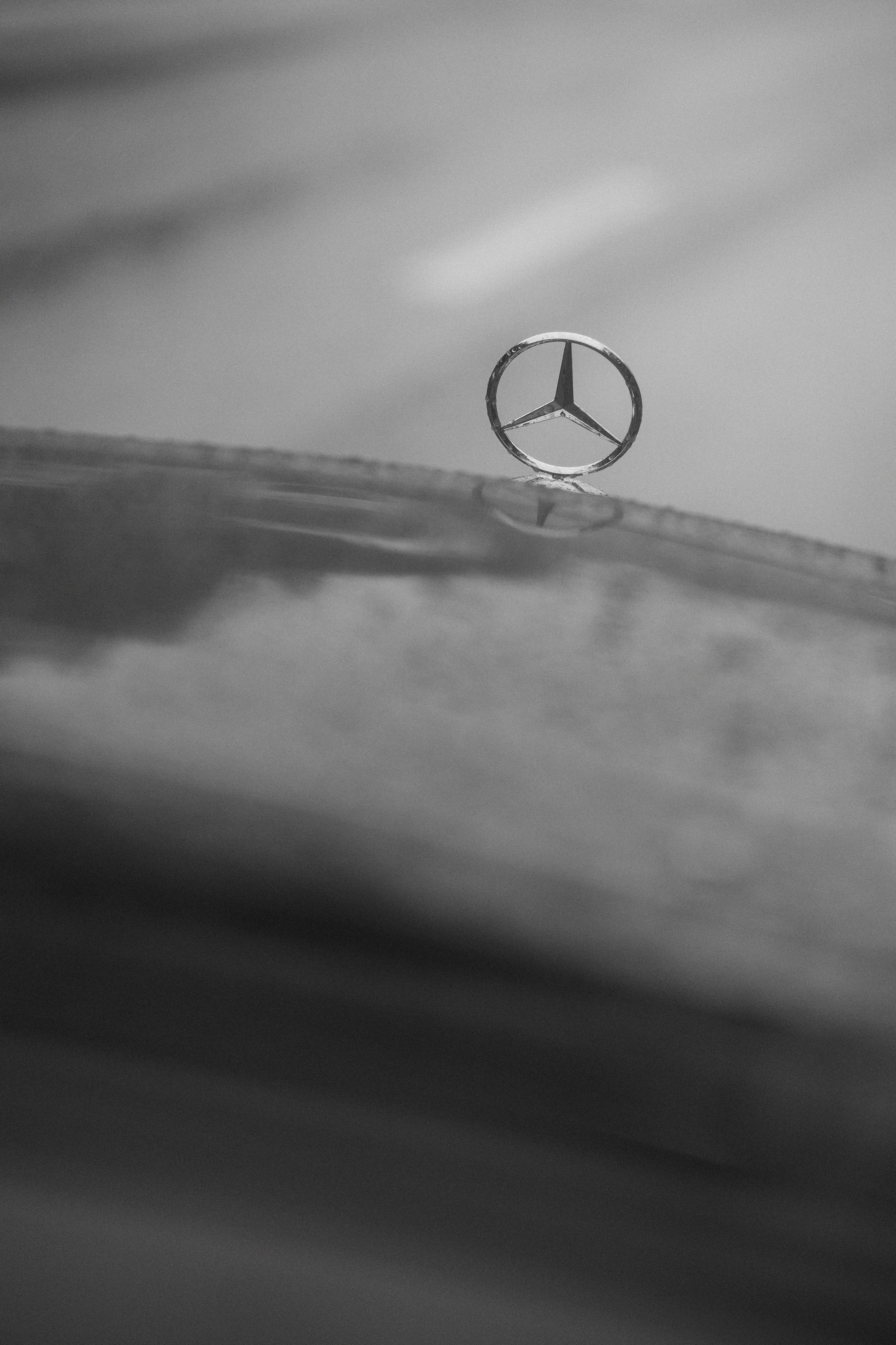 K&S КИНОШНО. Свадебный фотограф Москва