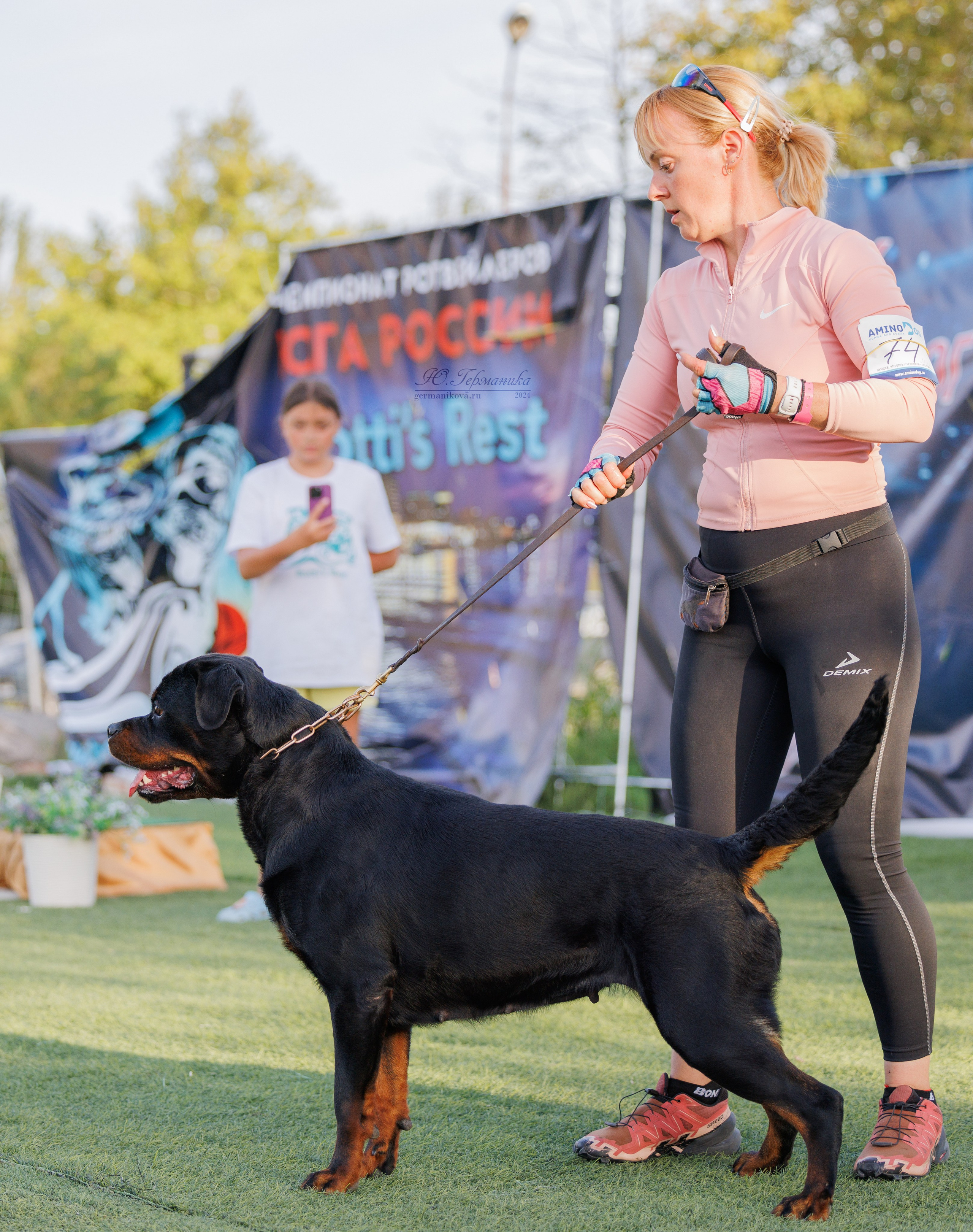 Анапа ротвейлеры 14-15.09.2024. Фотограф-анималист Юлия Германика