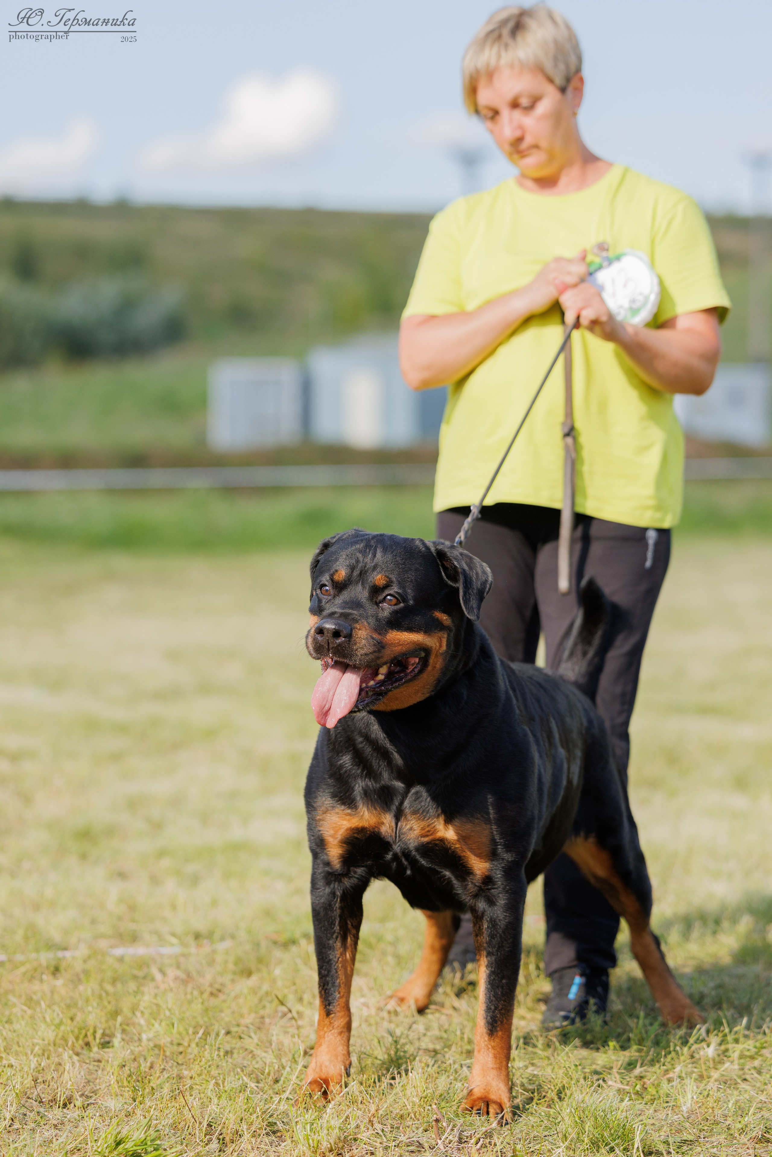 Рязань 2хмоно ротвейлеры 16-17.08.2025. Фотограф-анималист Юлия Германика