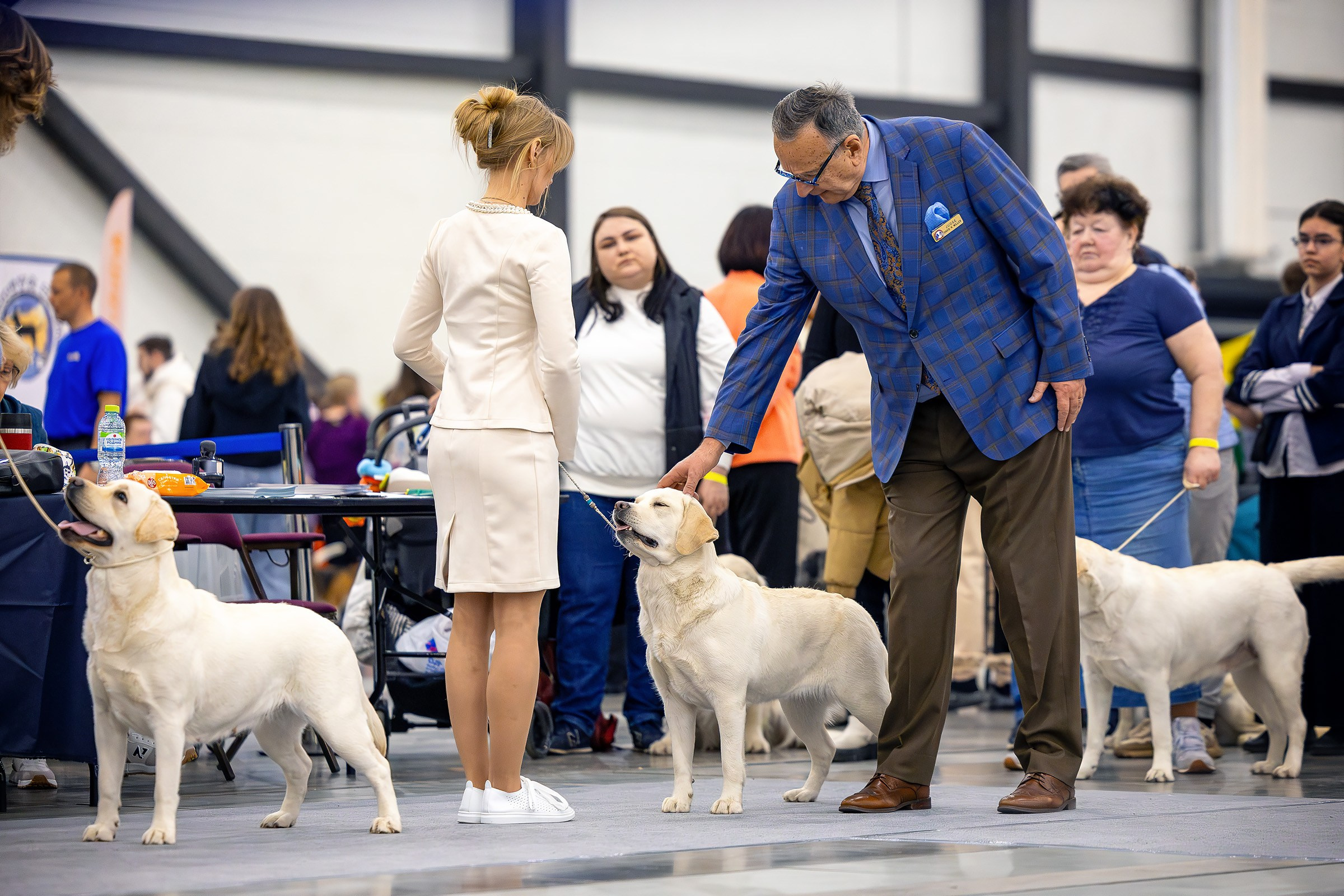 26–27 апреля 2025, Выставка РКФ, г. Санкт-Петербург. Htykk_photo