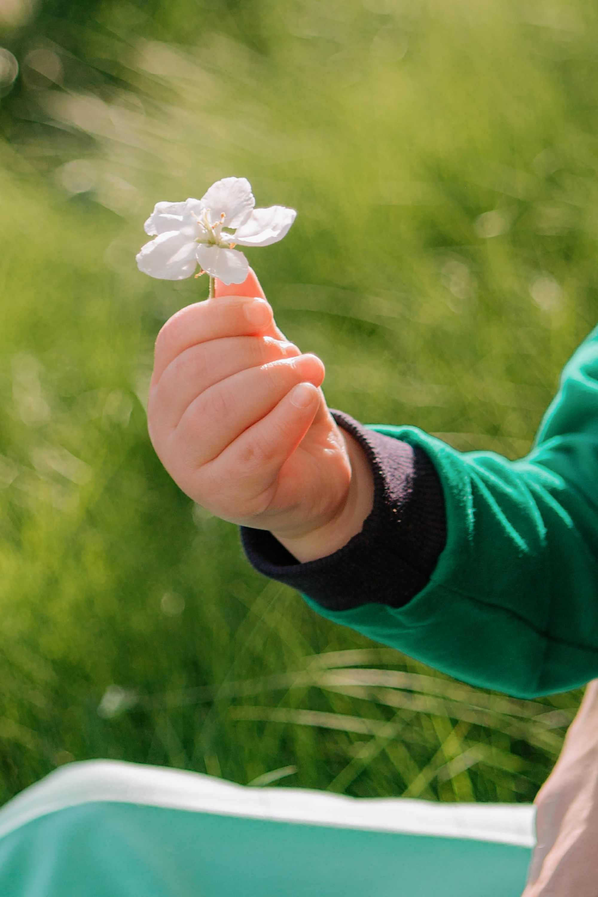 Савиных. Фотограф Александра Кузнецова