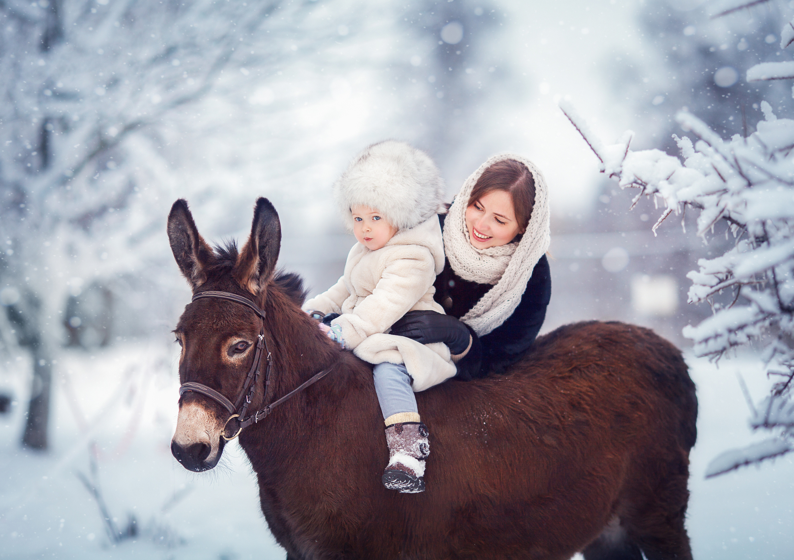 Фотосессия с осликом, фотосессия с лошадьми. Детский и семейный фотограф Муксимова Ирина