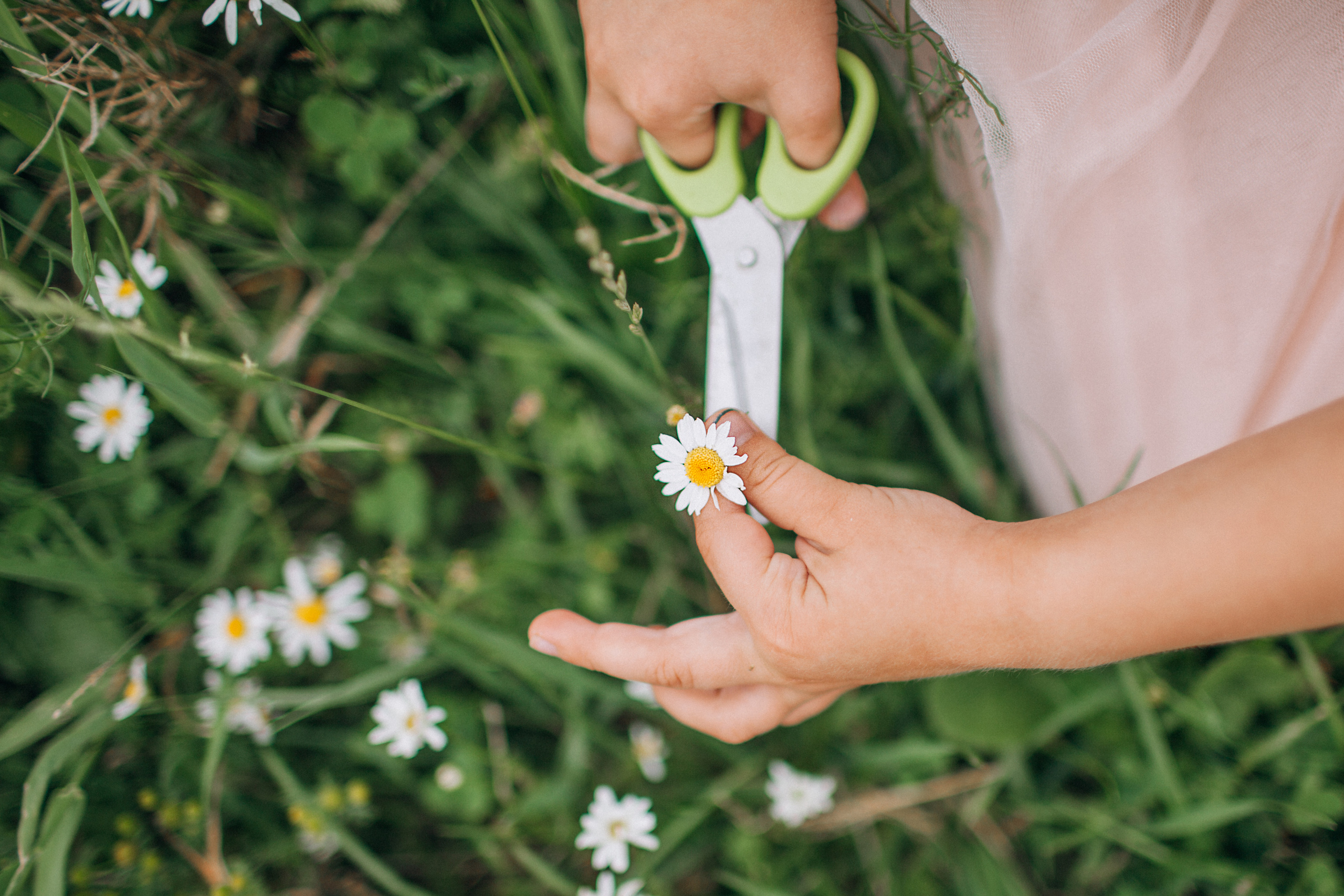 Фотосессия в ромашках. Детский и семейный фотограф Муксимова Ирина