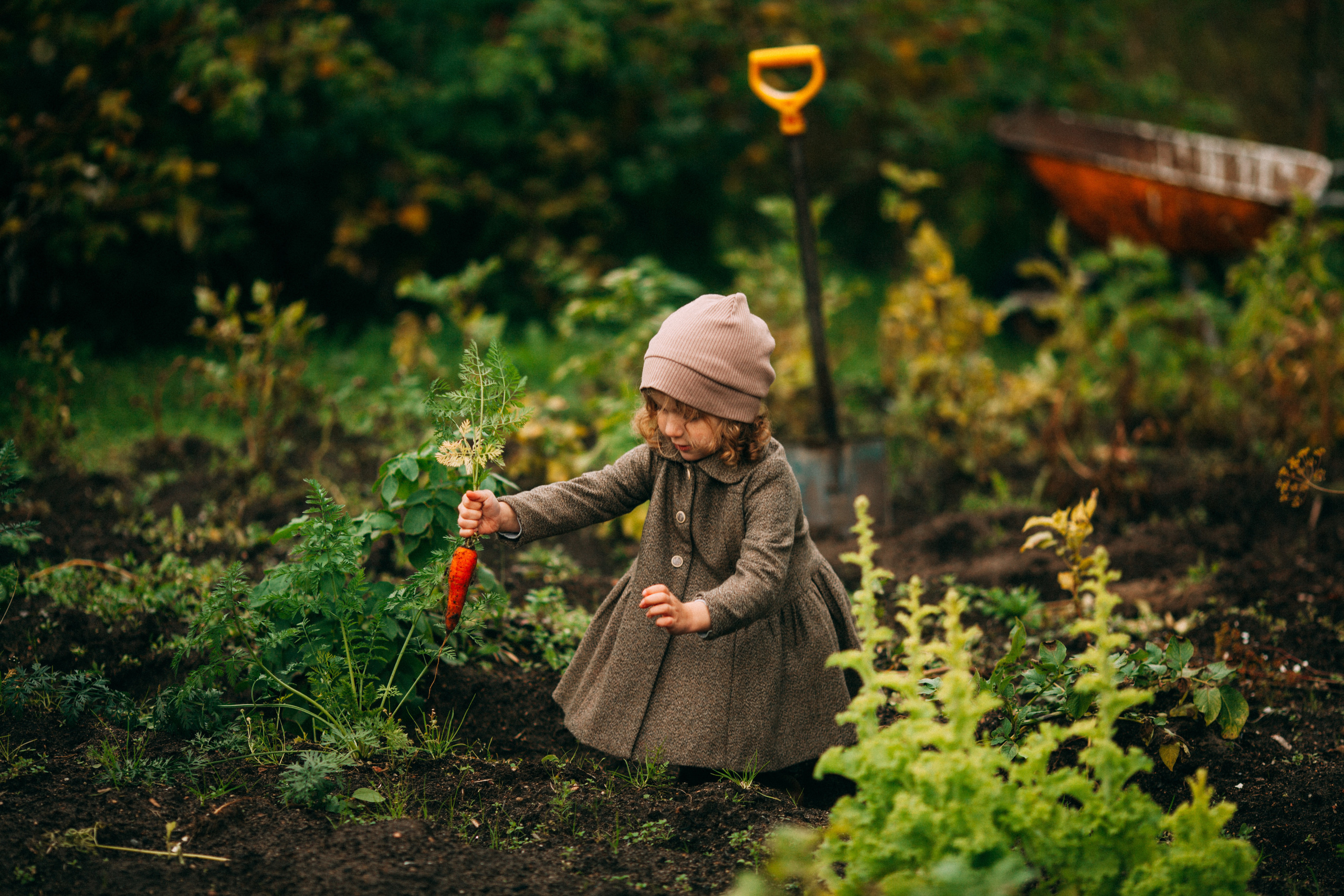 Фотосессия в Ленинградской области. Детский и семейный фотограф Муксимова Ирина