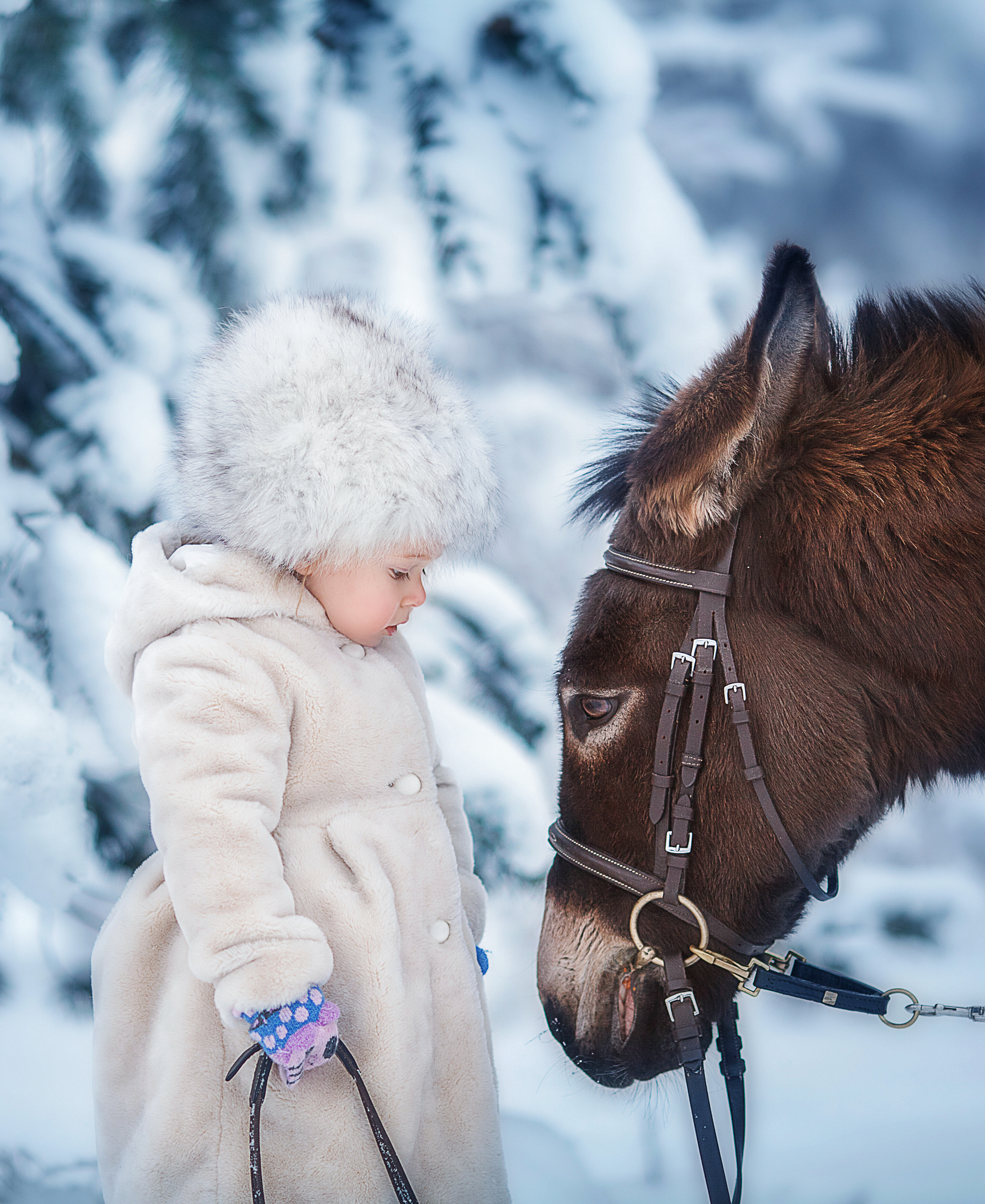 Фотосессия с осликом, фотосессия с лошадьми. Детский и семейный фотограф Муксимова Ирина