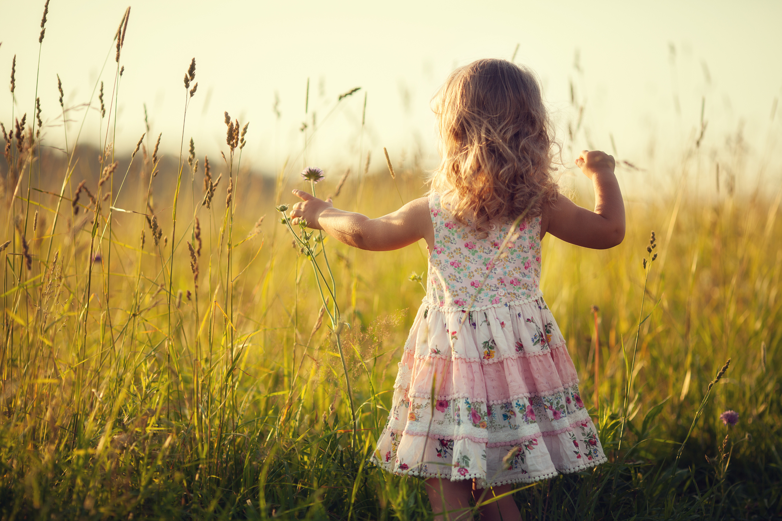 Фотосессия в пшенице. Детский и семейный фотограф Муксимова Ирина