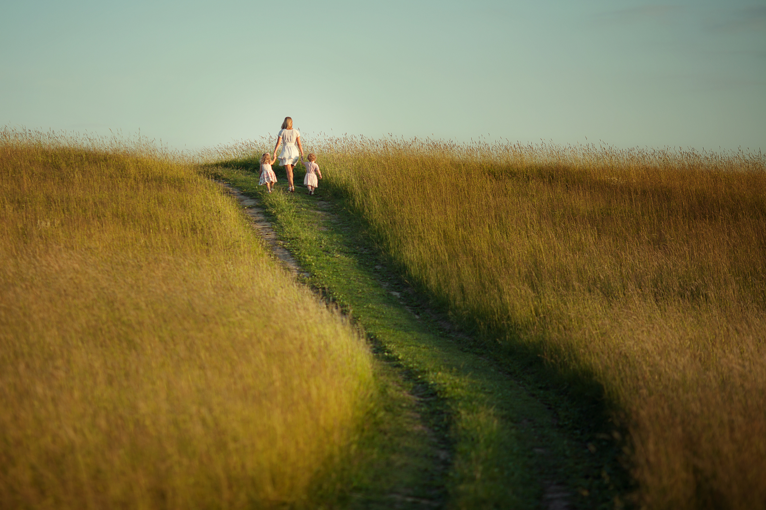 Фотосессия в пшенице. Детский и семейный фотограф Муксимова Ирина
