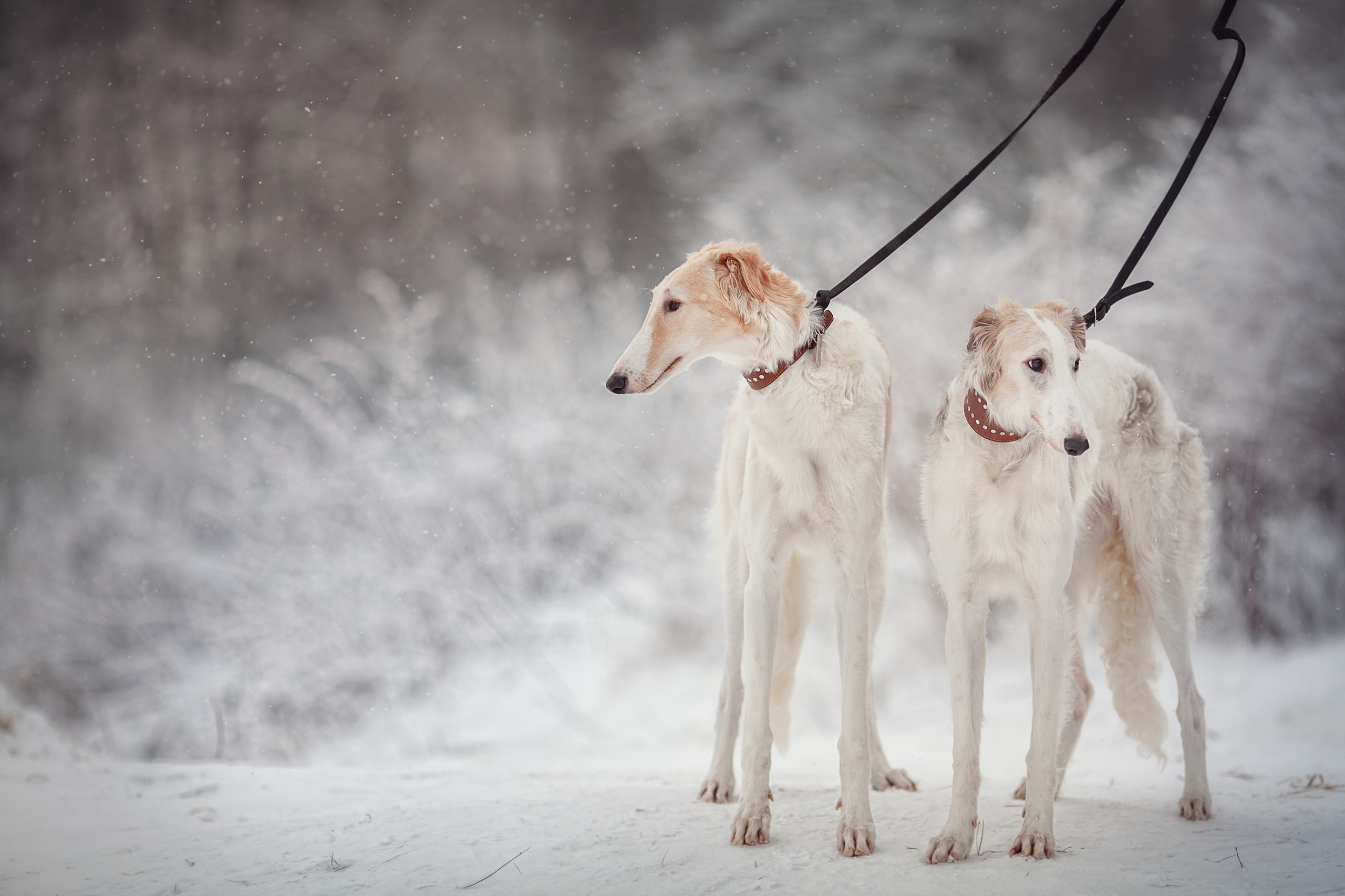 Зимняя фотосессия в деревне. Детский и семейный фотограф Муксимова Ирина