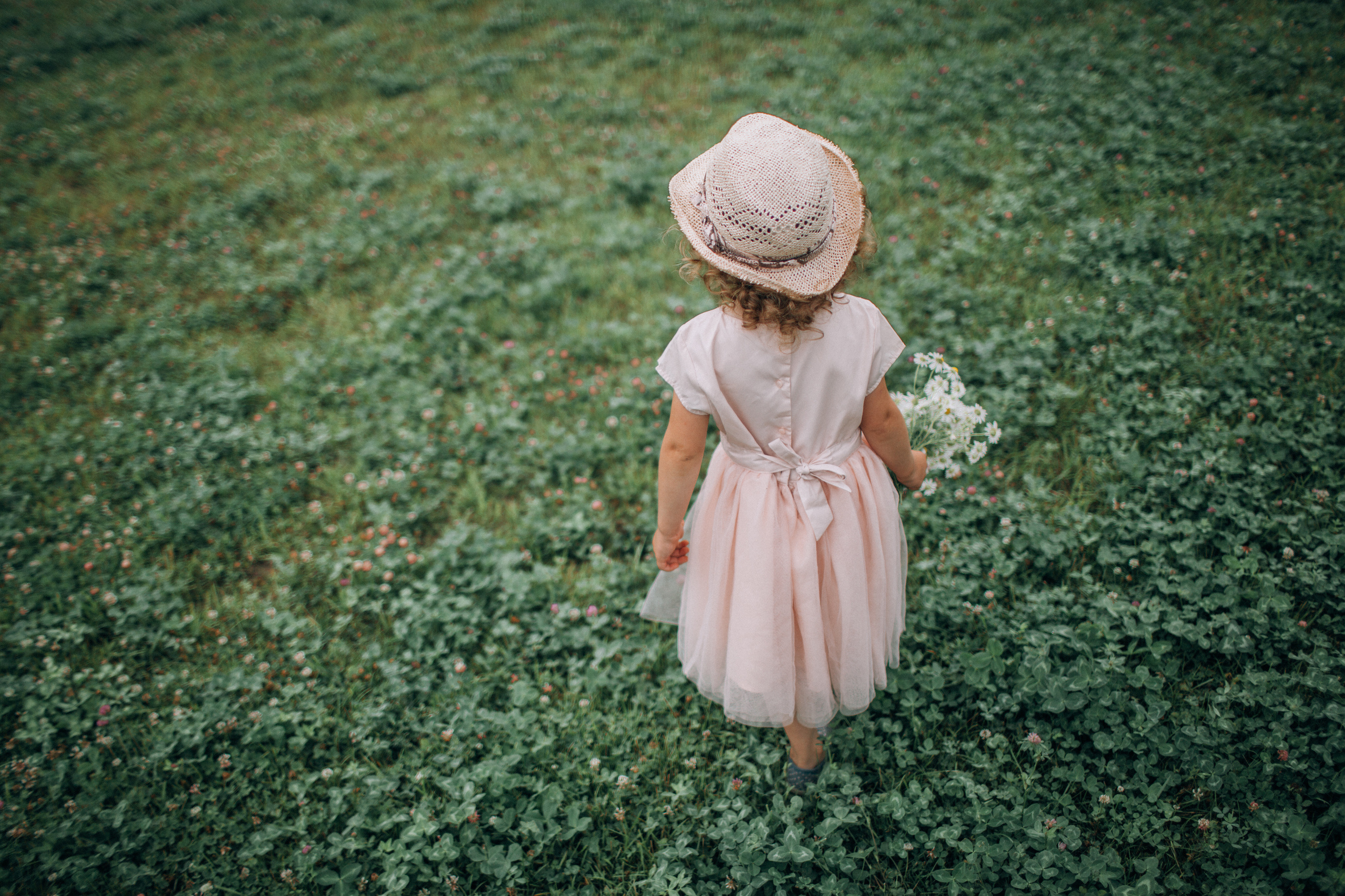 Фотосессия в ромашках. Детский и семейный фотограф Муксимова Ирина