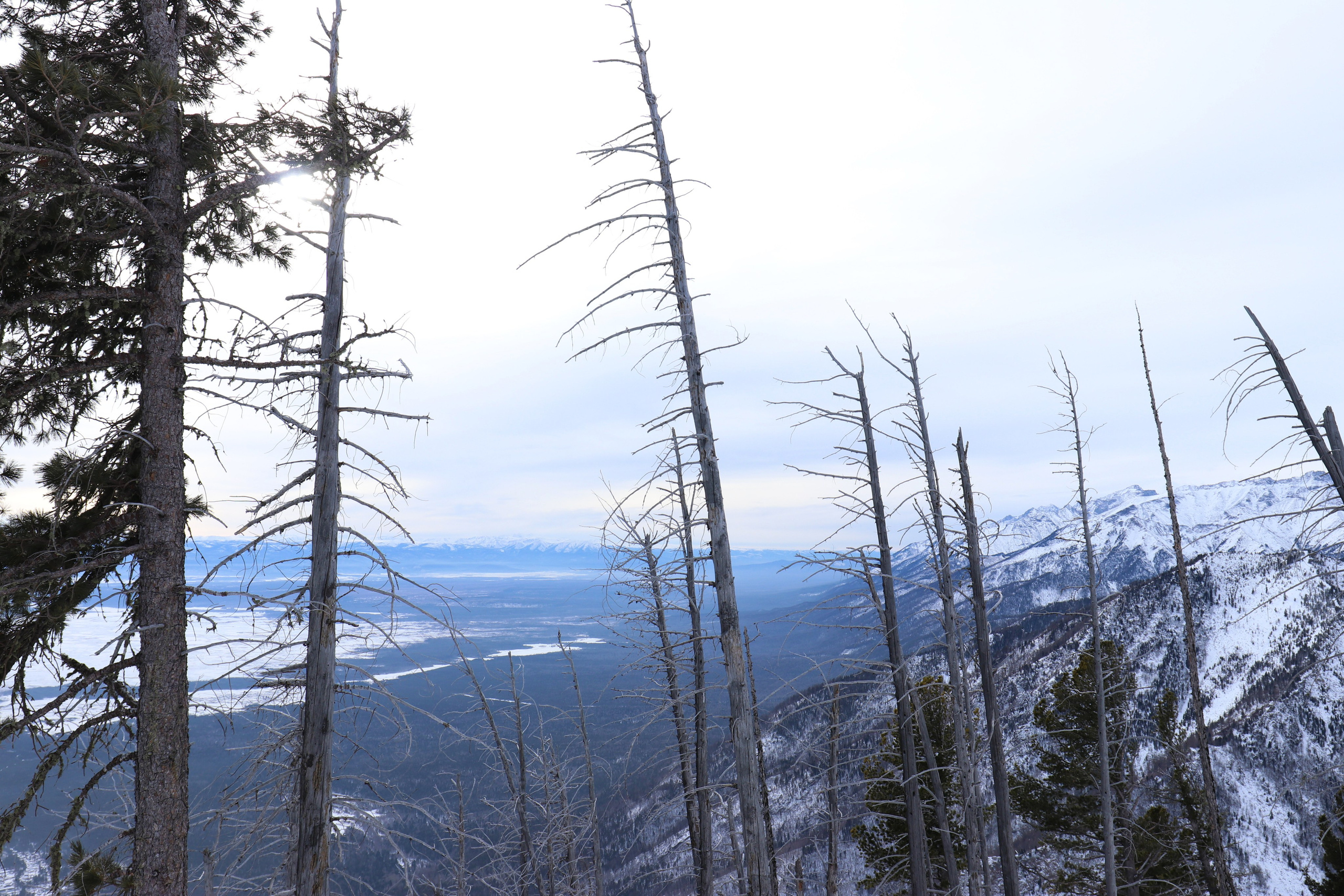 Аршан. Февраль 2025. Путешественник-фотограф из Санкт-Петербурга Татьяна Свистулина