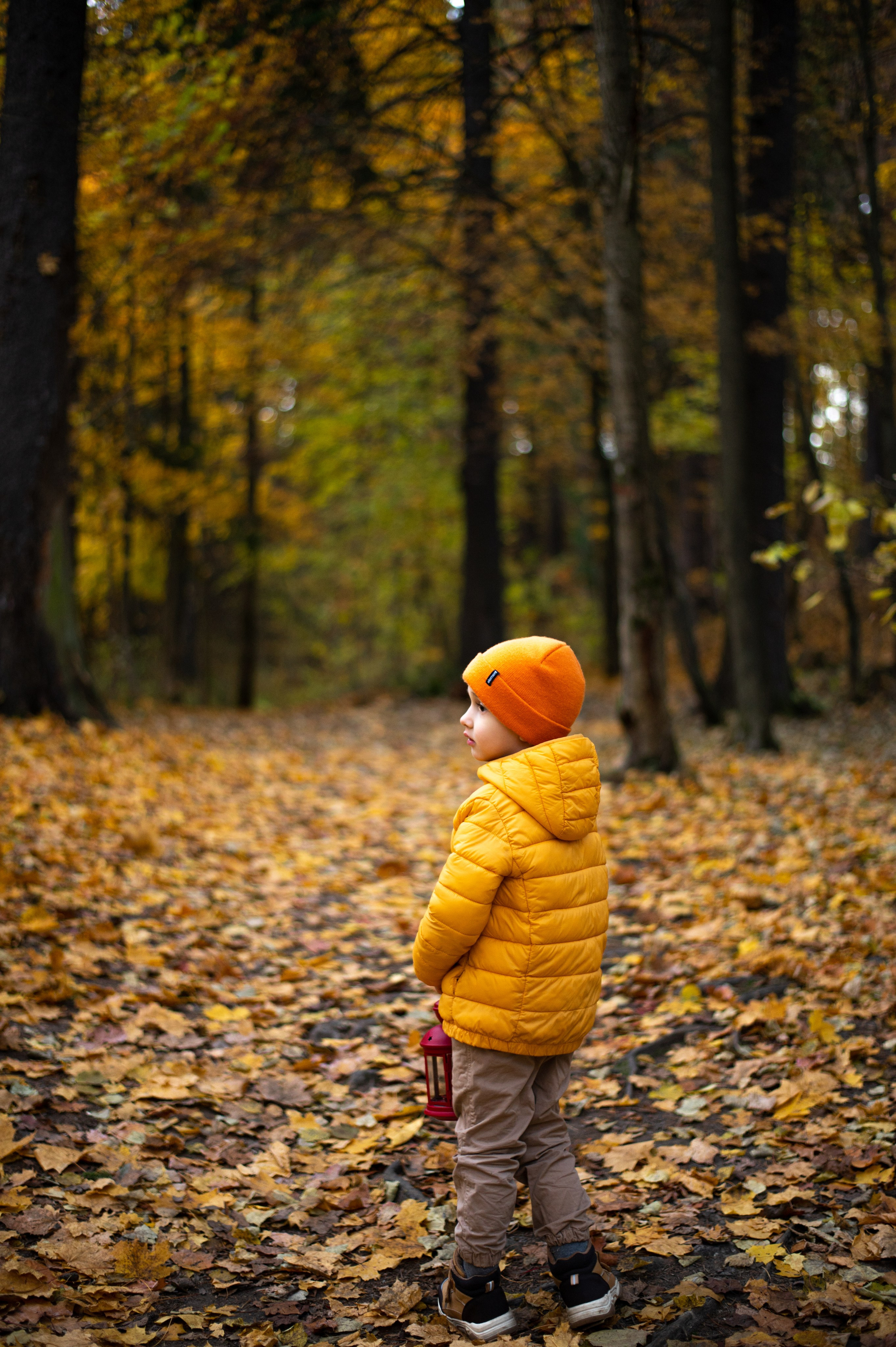Осень в Шуваловском парке. Фотограф Санкт-Петербург | Дарья Першина