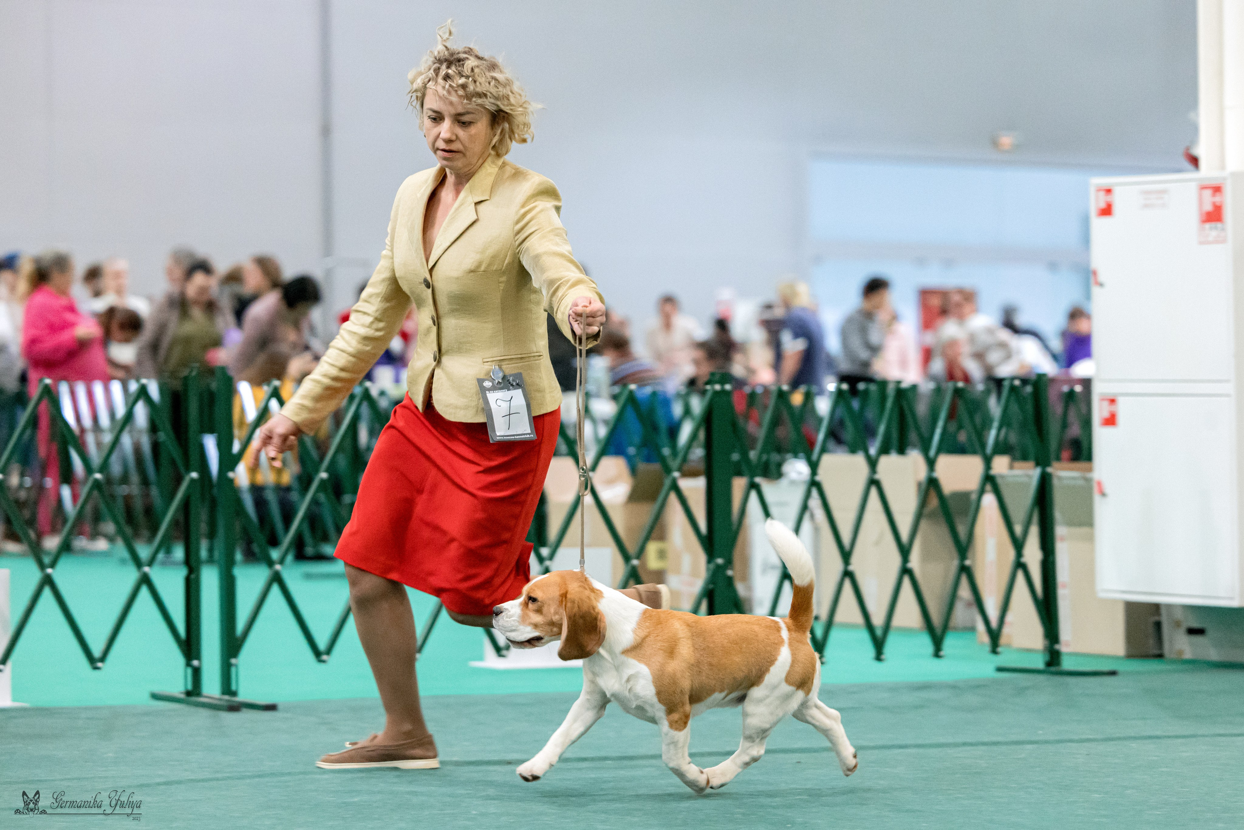 Сфера 29.10,Крокус 4.11,Сфера 12.11.2023. Фотограф-анималист Юлия Германика