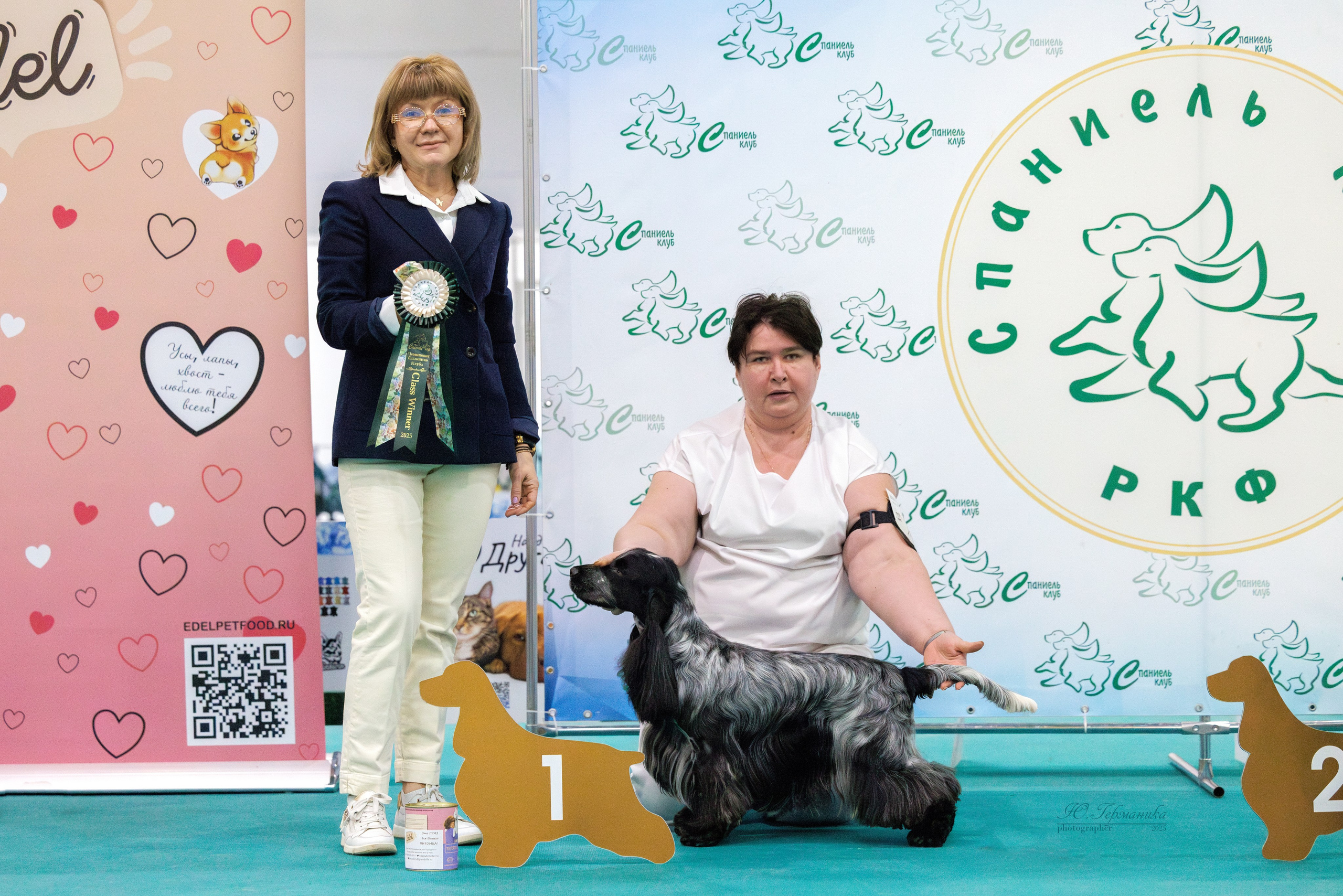 Питер ротвейлеры 18.01,Крокус 19.01.2025. Фотограф-анималист Юлия Германика