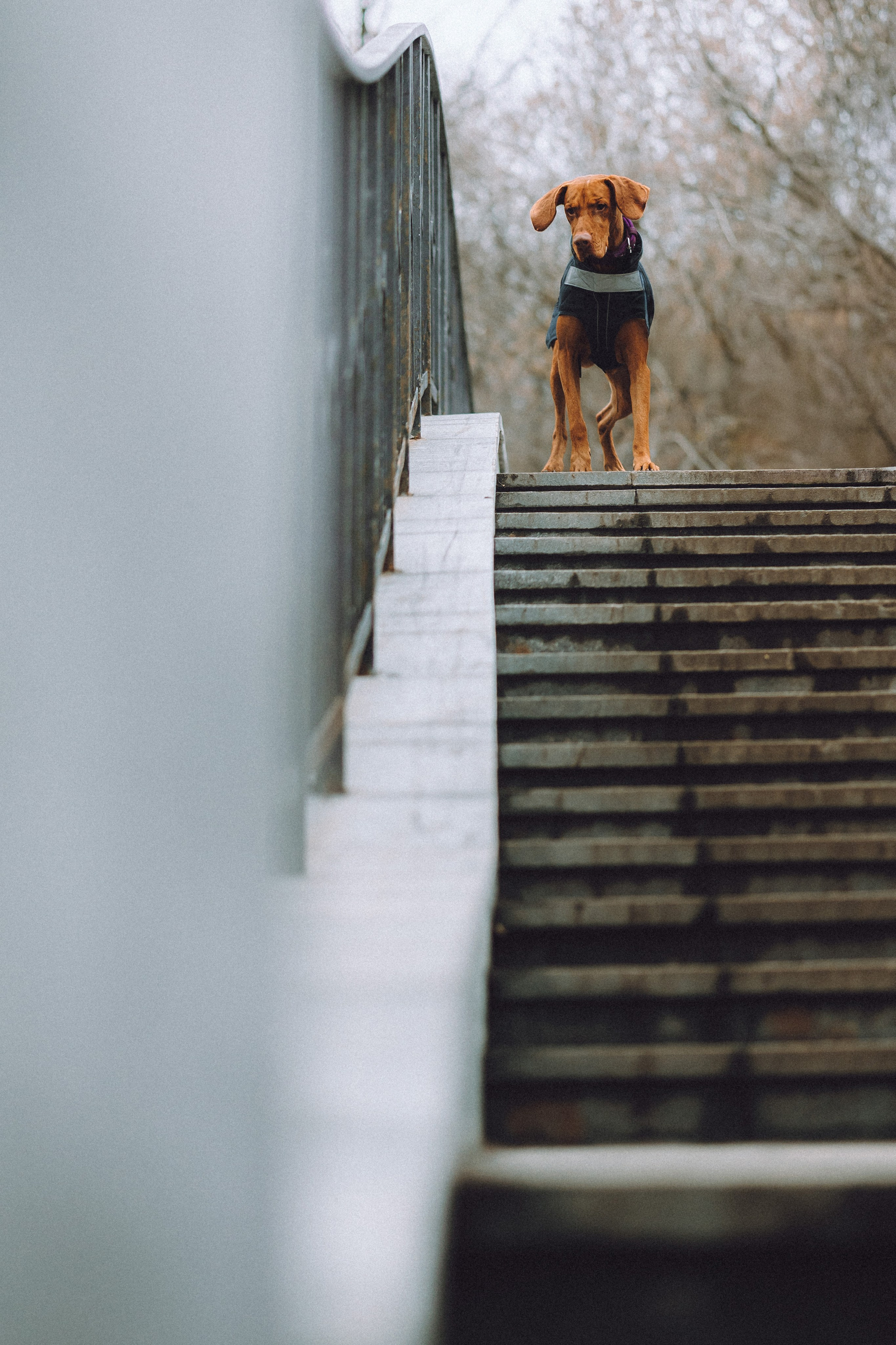 Екатерина и Даня