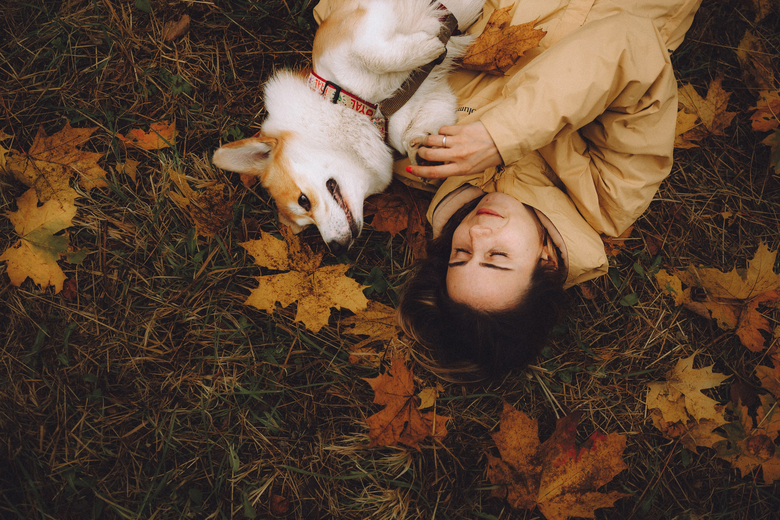 Вирджик и его семья