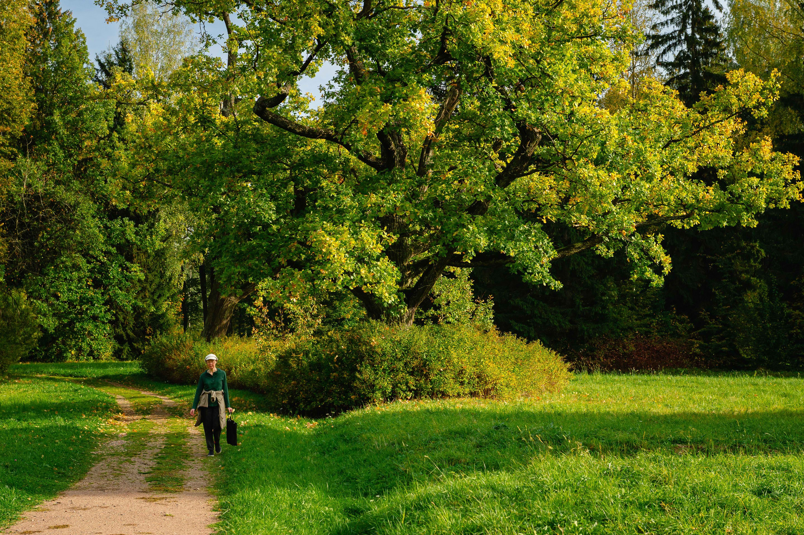 2023.09. Фотограф Алексей Алексеев