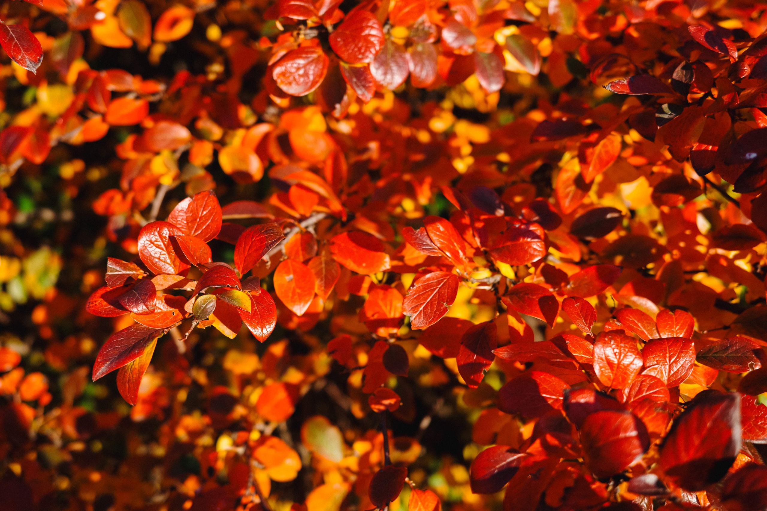 2024.10. Фотограф Алексей Алексеев