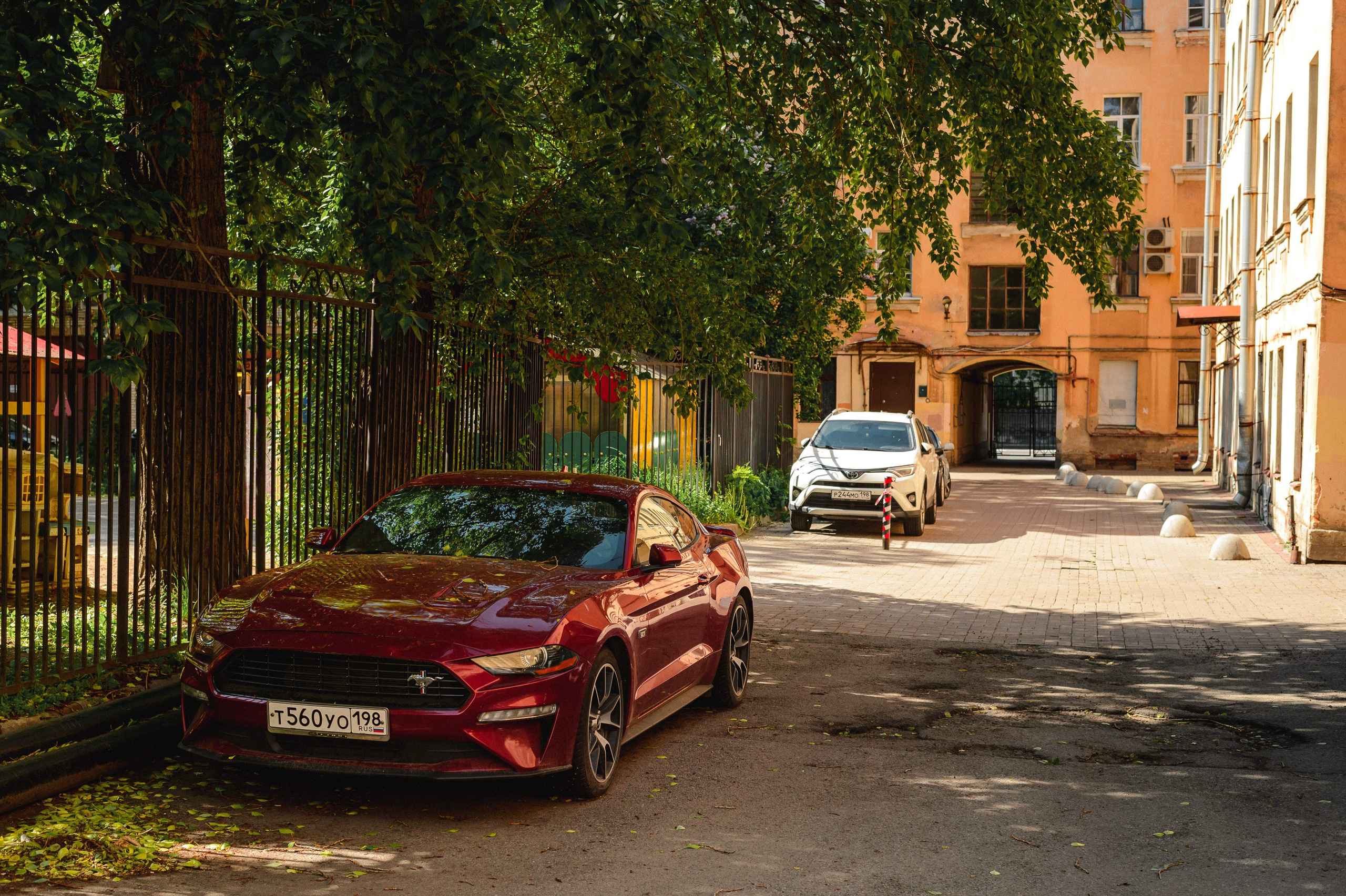 2025.06. Фотограф Алексей Алексеев