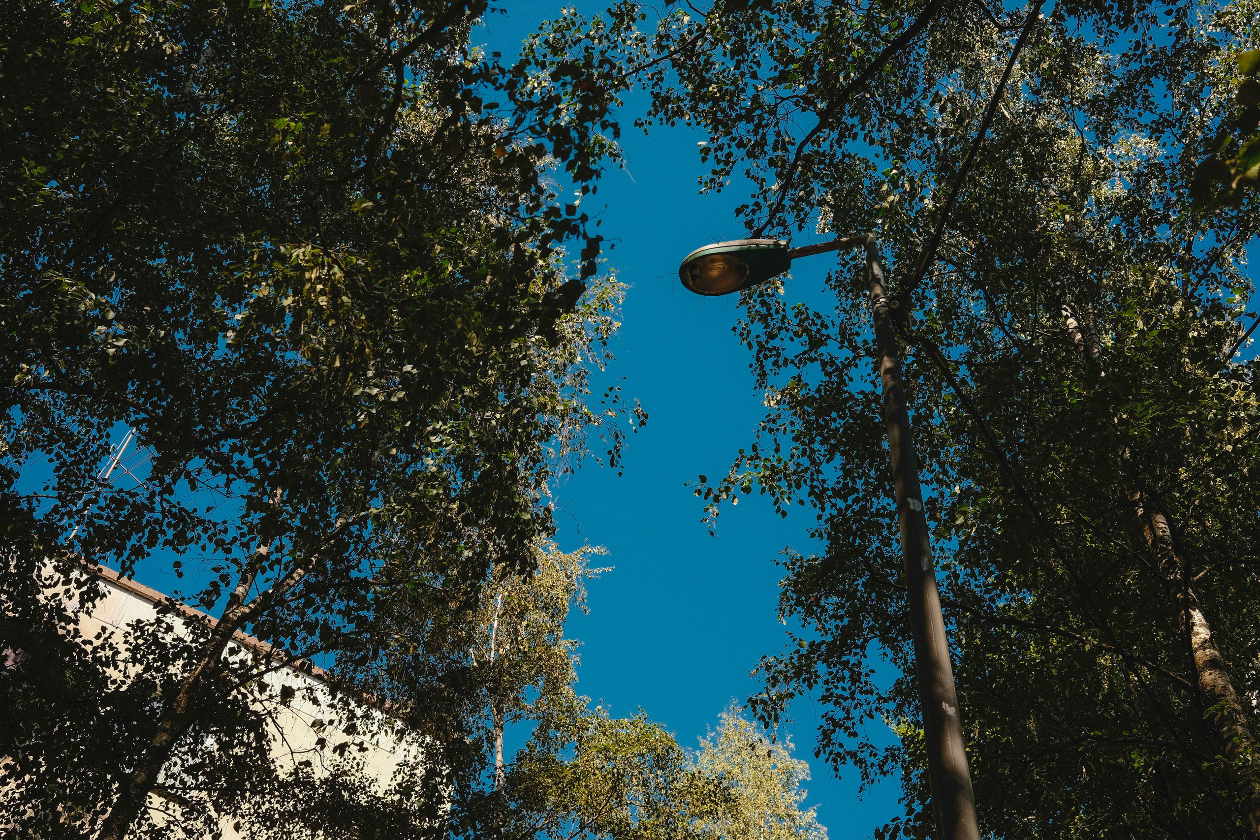 2023.08. Фотограф Алексей Алексеев