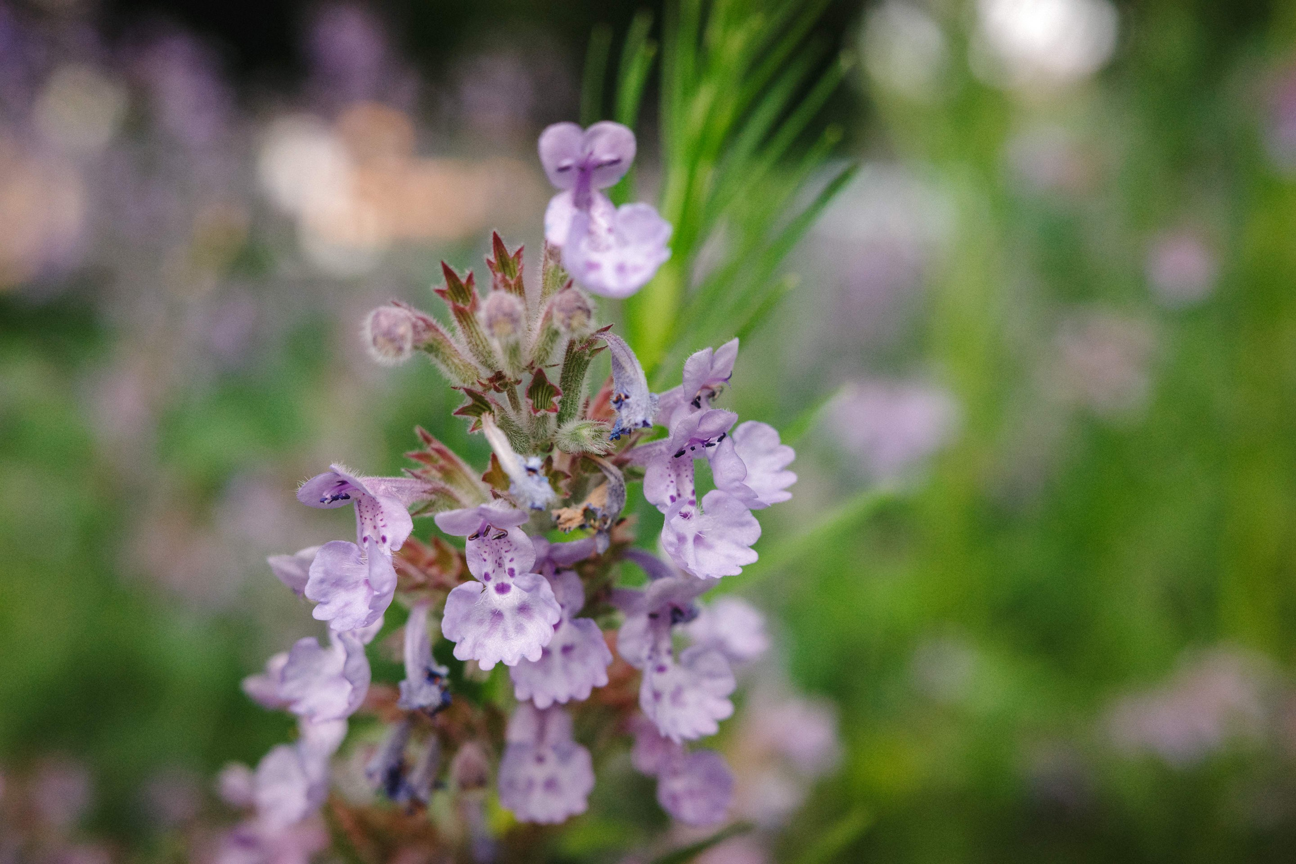 2024.06. Фотограф Алексей Алексеев