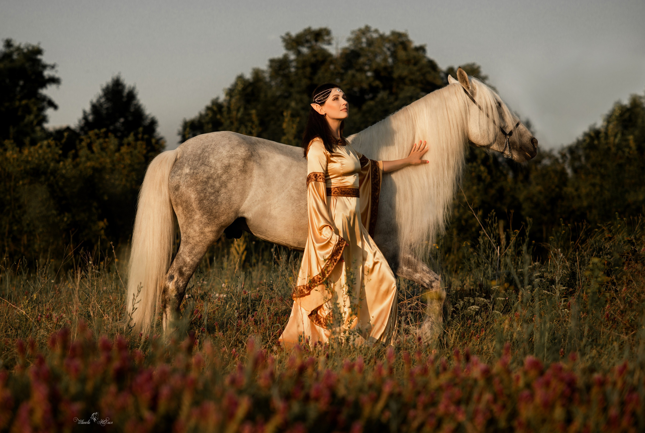 Юлия и Вымпел. Конный фотограф в Саратове Юлия Иванова