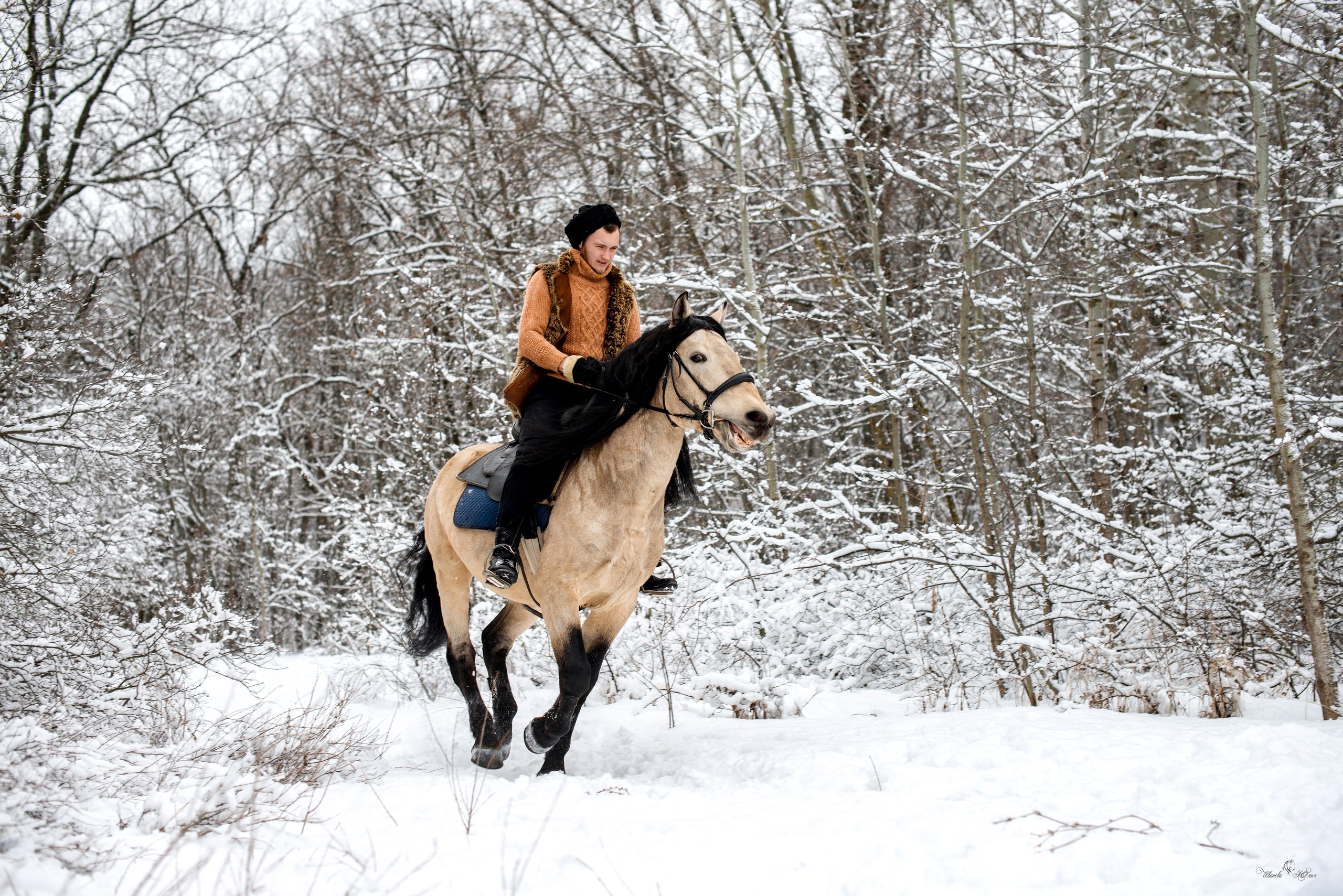 Геннадий и Тэзей. Конный фотограф в Саратове Юлия Иванова