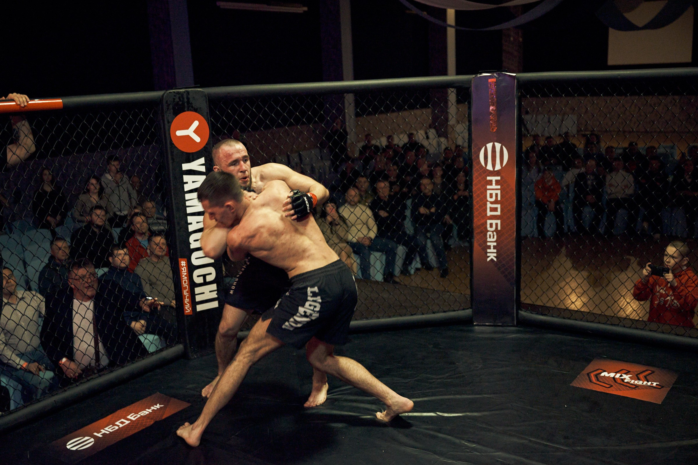 Бои. Маляревич Дмитрий свадебный фотограф