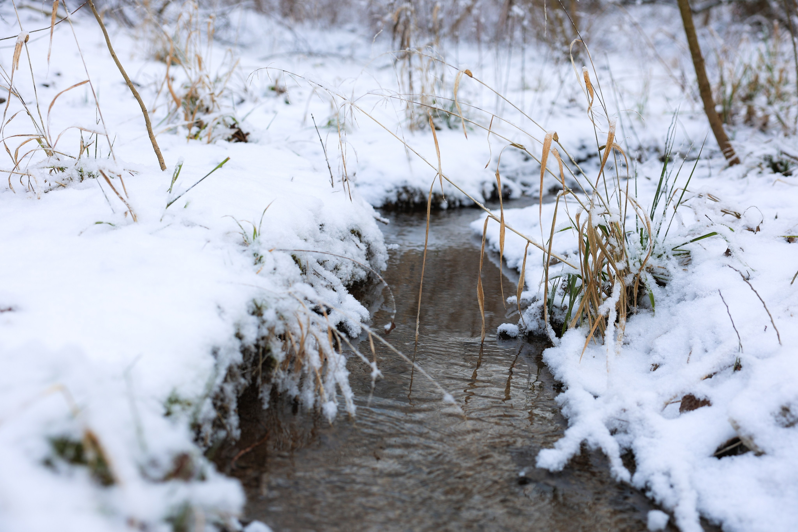 Фотограф Мария Алексеева. Мария Алексеева. Фотограф в Москве