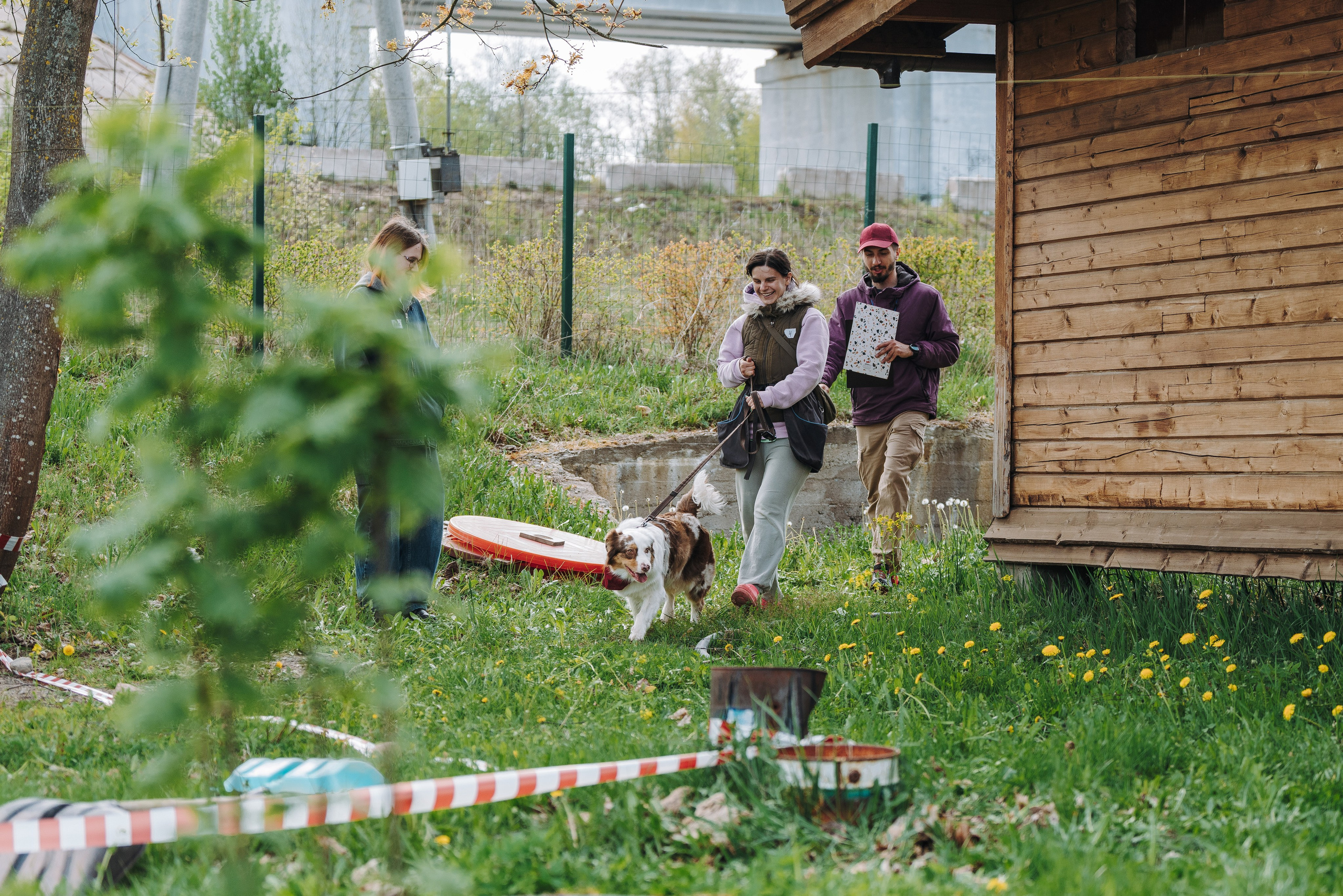 Соревнования по ноузворку в Лосево. Фотограф анималист в Спб недорого Олеся Майорова