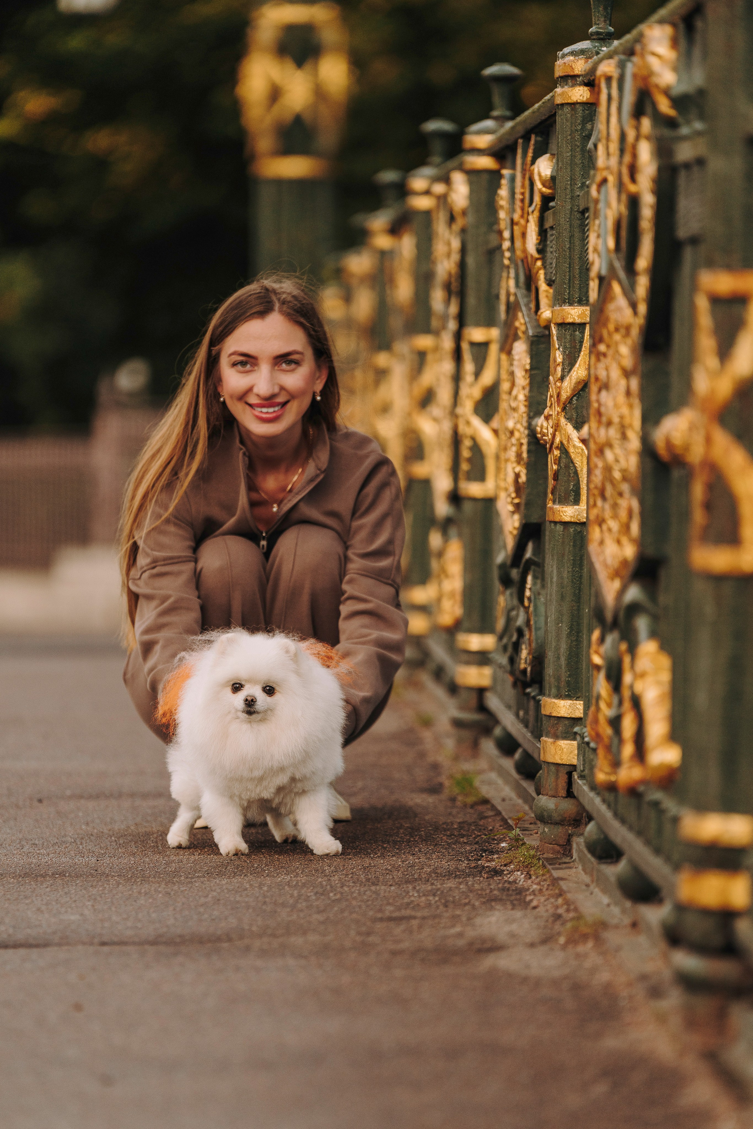 Фотосессия с померанским шпицем. Фотограф анималист в Спб недорого Олеся Майорова