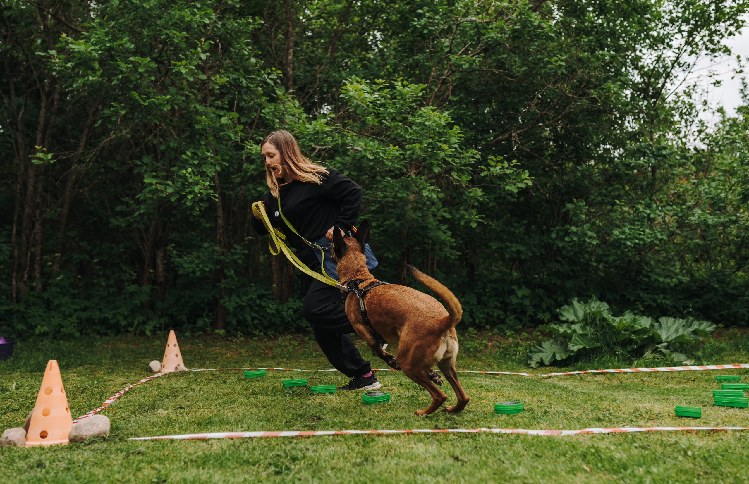 Соревнования по ноузворку. Фотограф анималист в Спб недорого Олеся Майорова