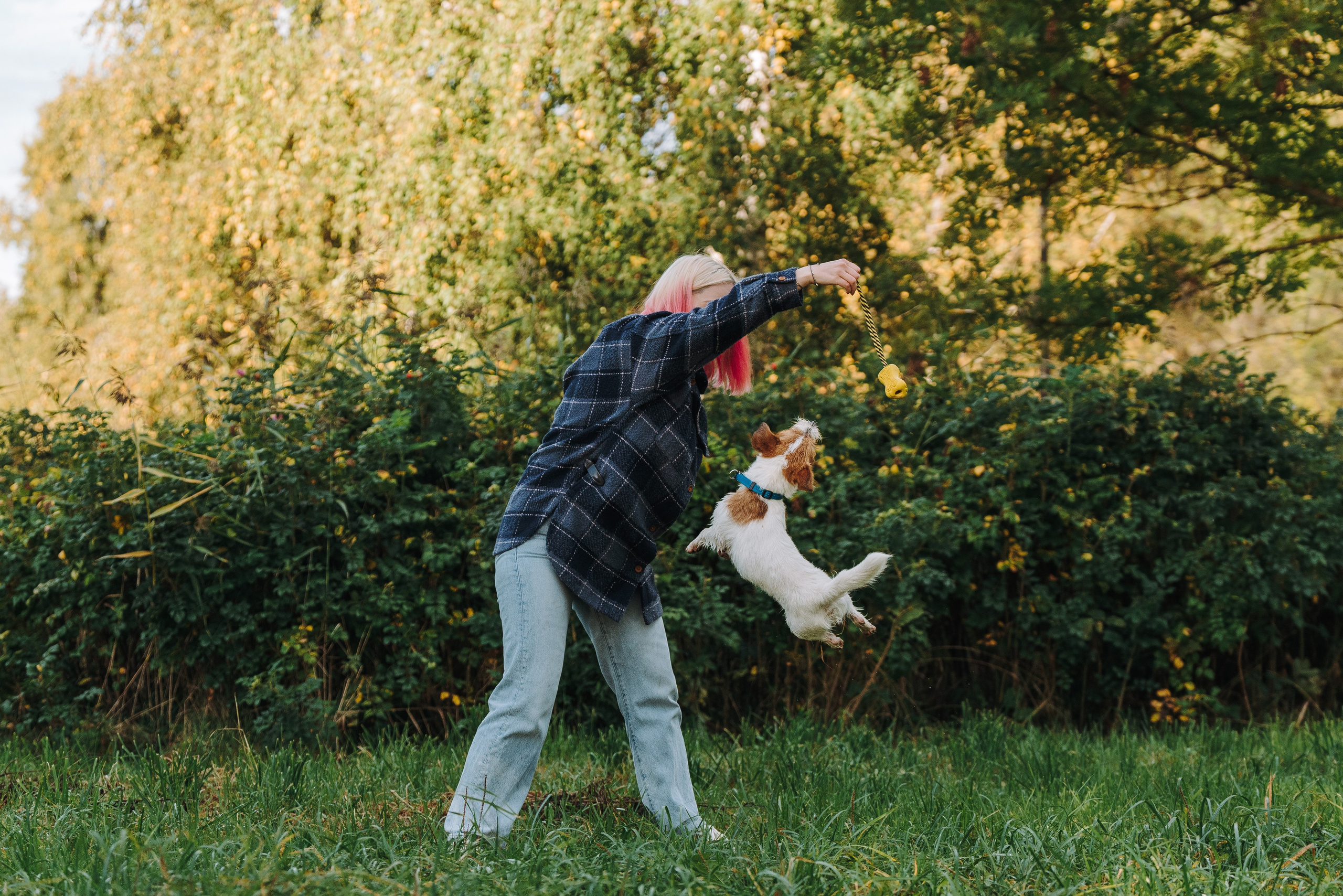 Фотосессия с маленькой собакой Спб. Фотограф анималист в Спб недорого Олеся Майорова