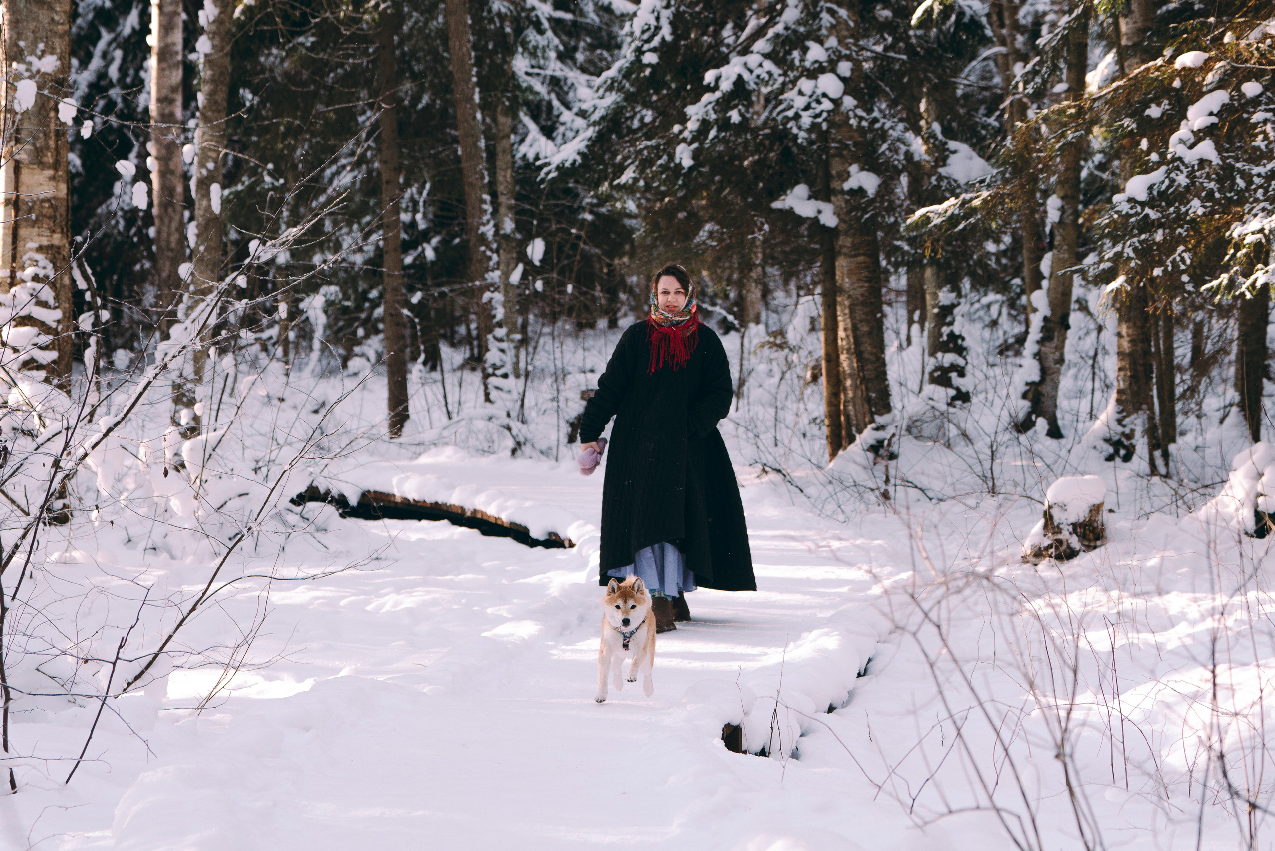 Каори, Анна и Антон. Фотограф анималист в Спб недорого Олеся Майорова