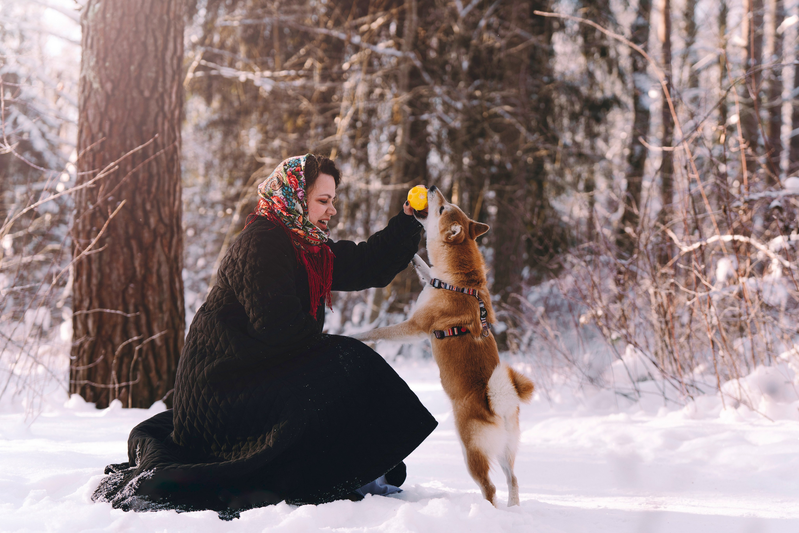 Каори, Анна и Антон. Фотограф анималист в Спб недорого Олеся Майорова