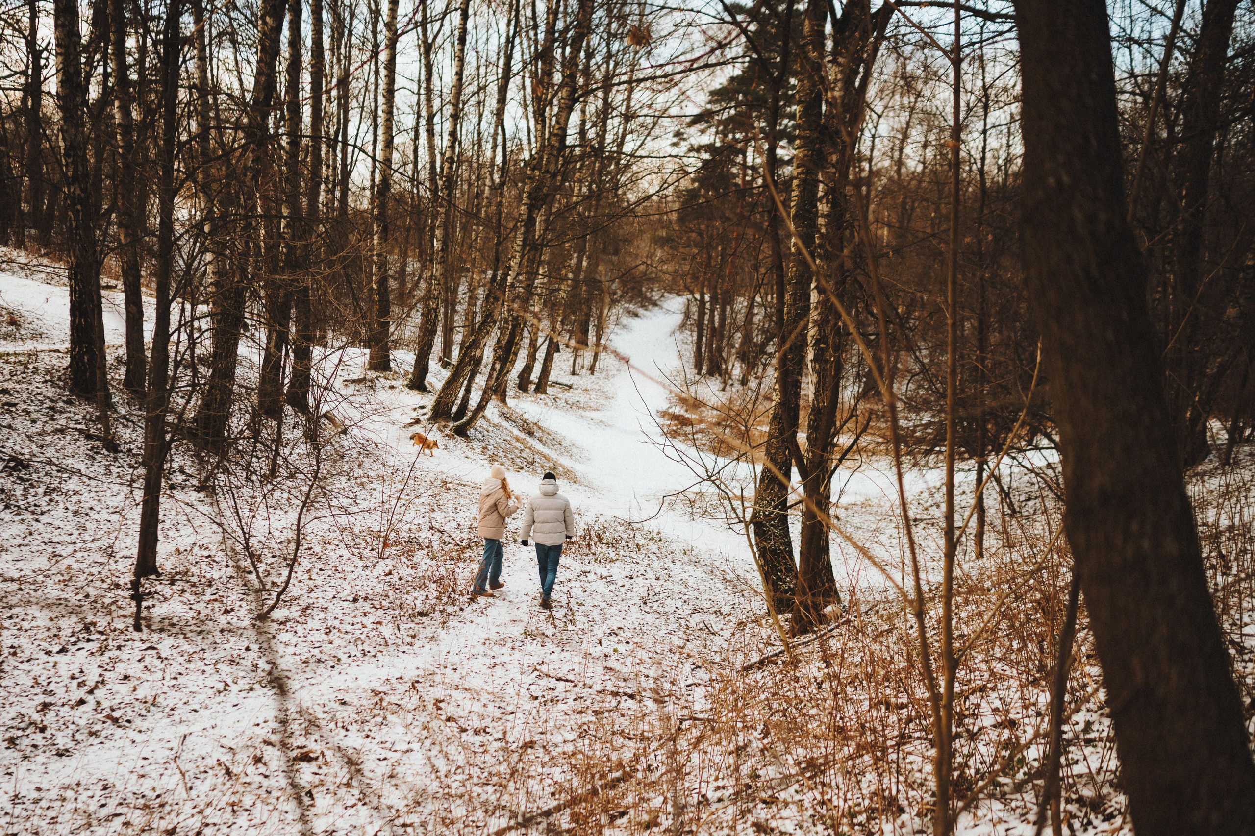 Дарья, Стас и Спика. Семейный фотограф анималист Ананьева Мария — Москва