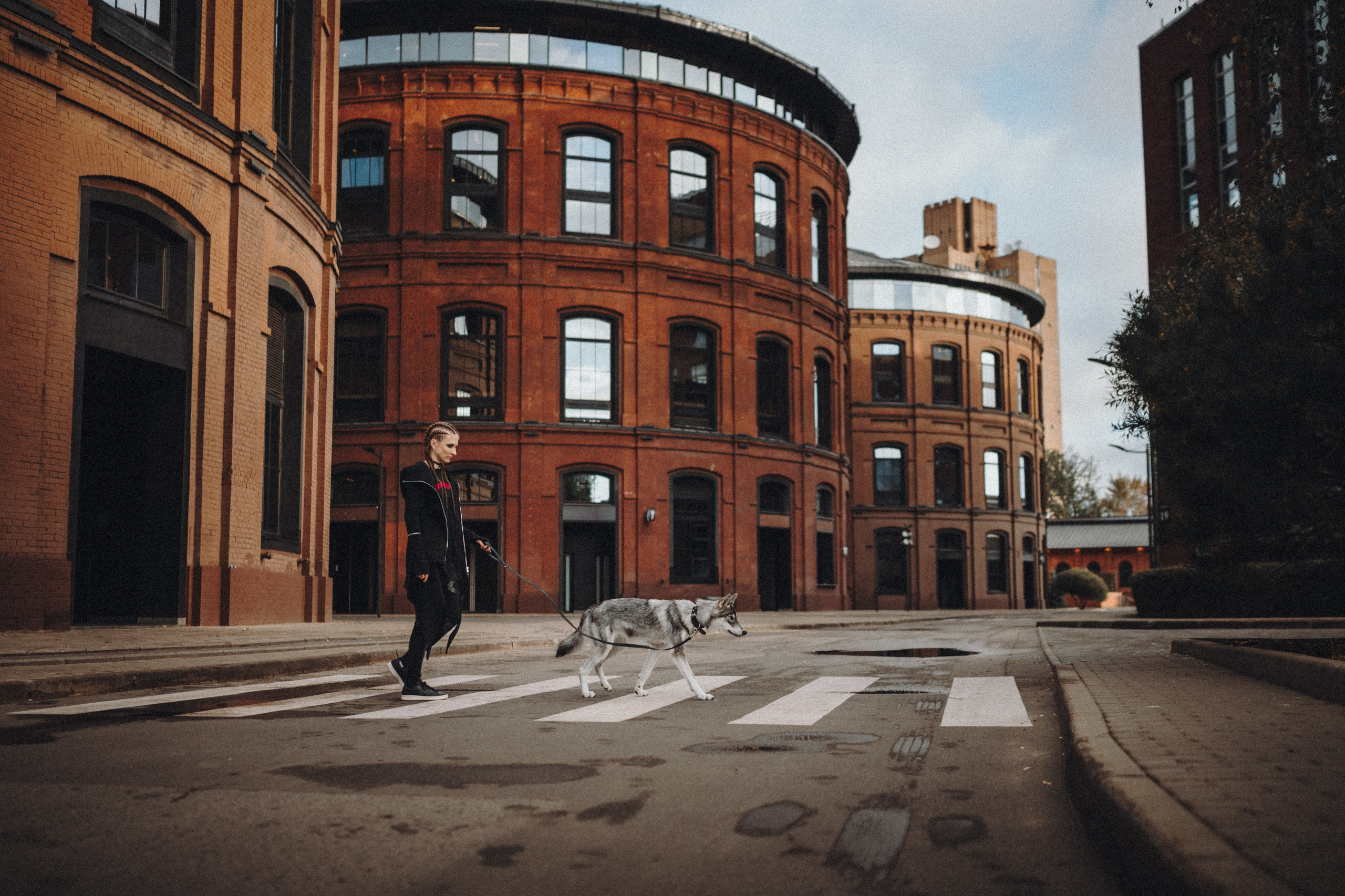 Вика и Кора. Семейный фотограф анималист Ананьева Мария — Москва