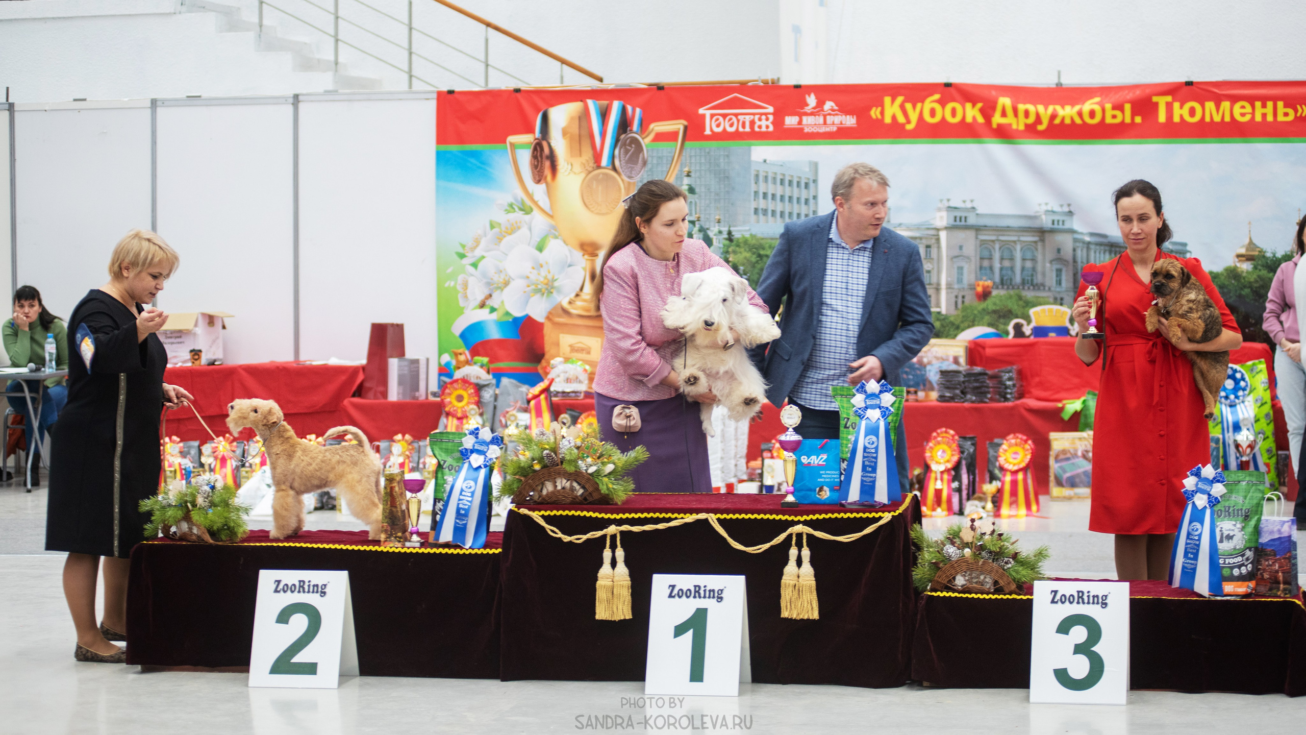 Выставка собак тюмень 14.01.2023. Дог-фотограф в Тюмени Александра Королева