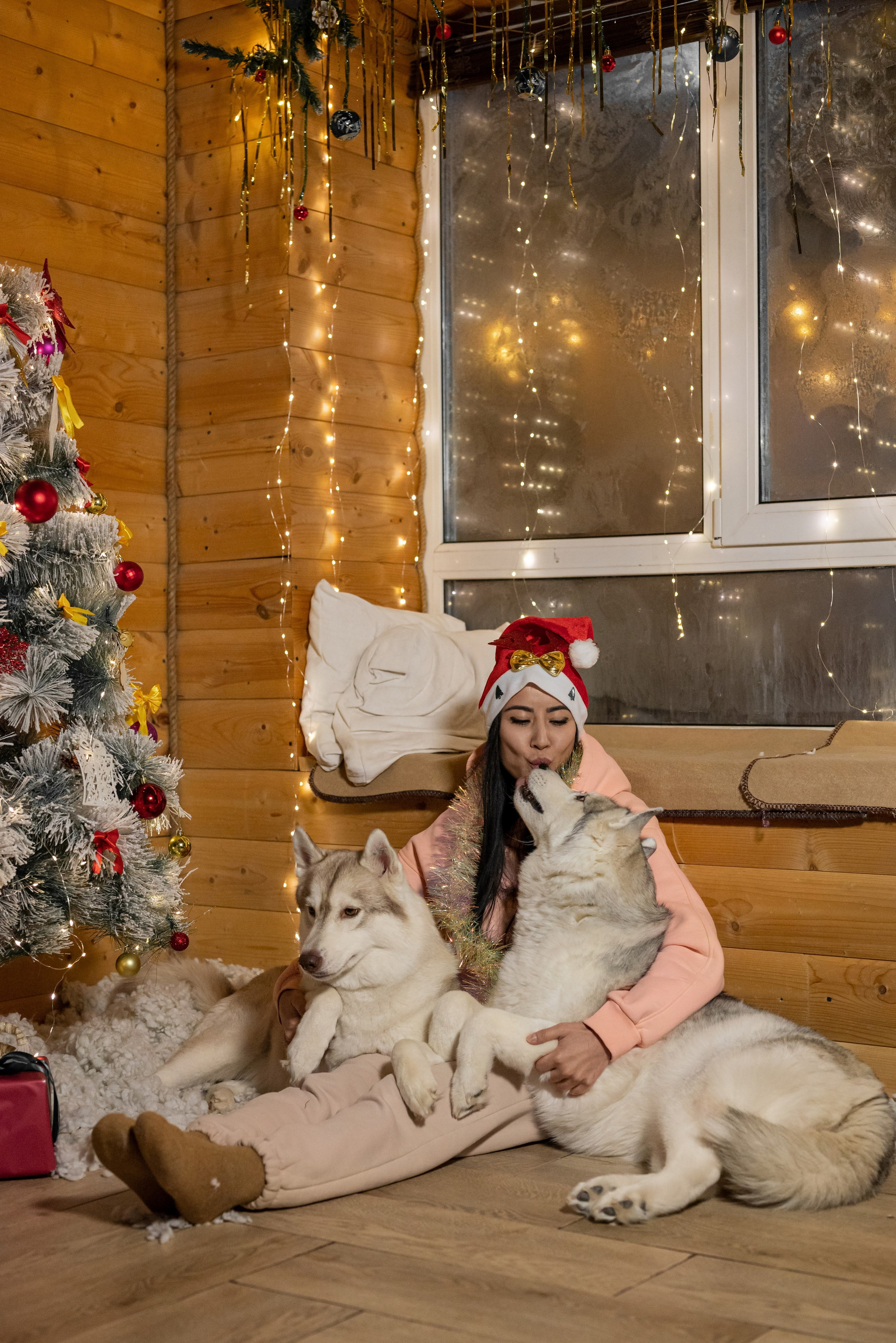 Фотопроект с хаски 2025 г. Фотограф в городе Салават
