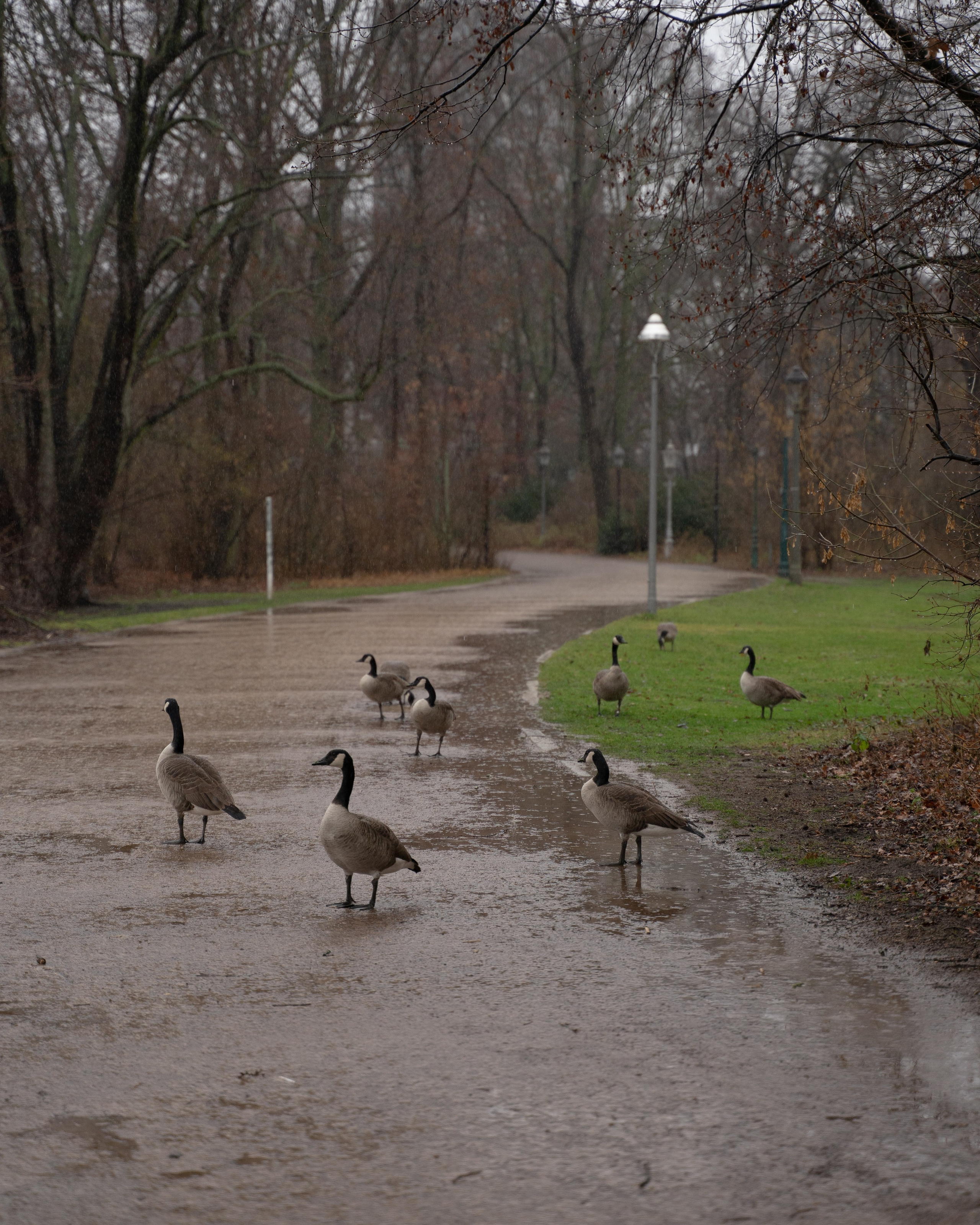 Германия. Фотограф Екатерина Катунова | Москва