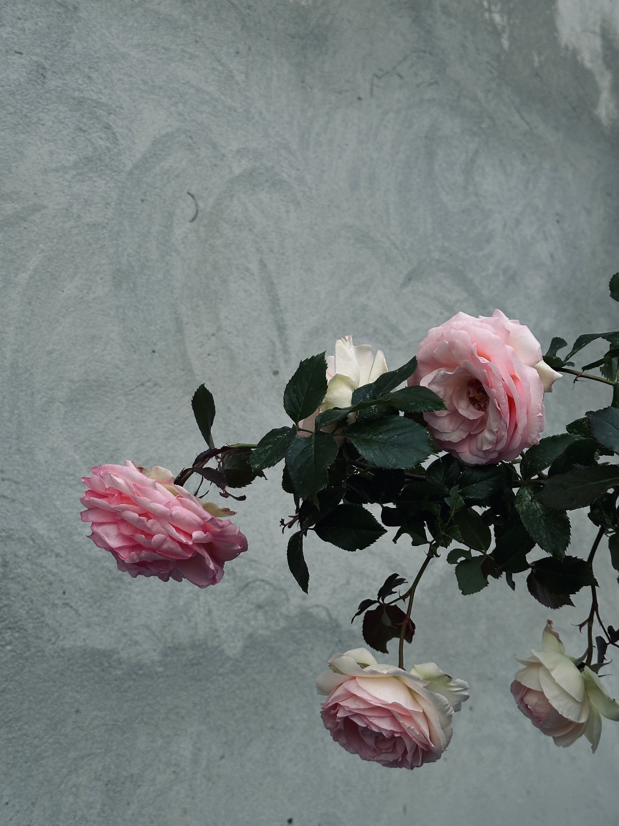 Флора и фауна. Смотри, красота!