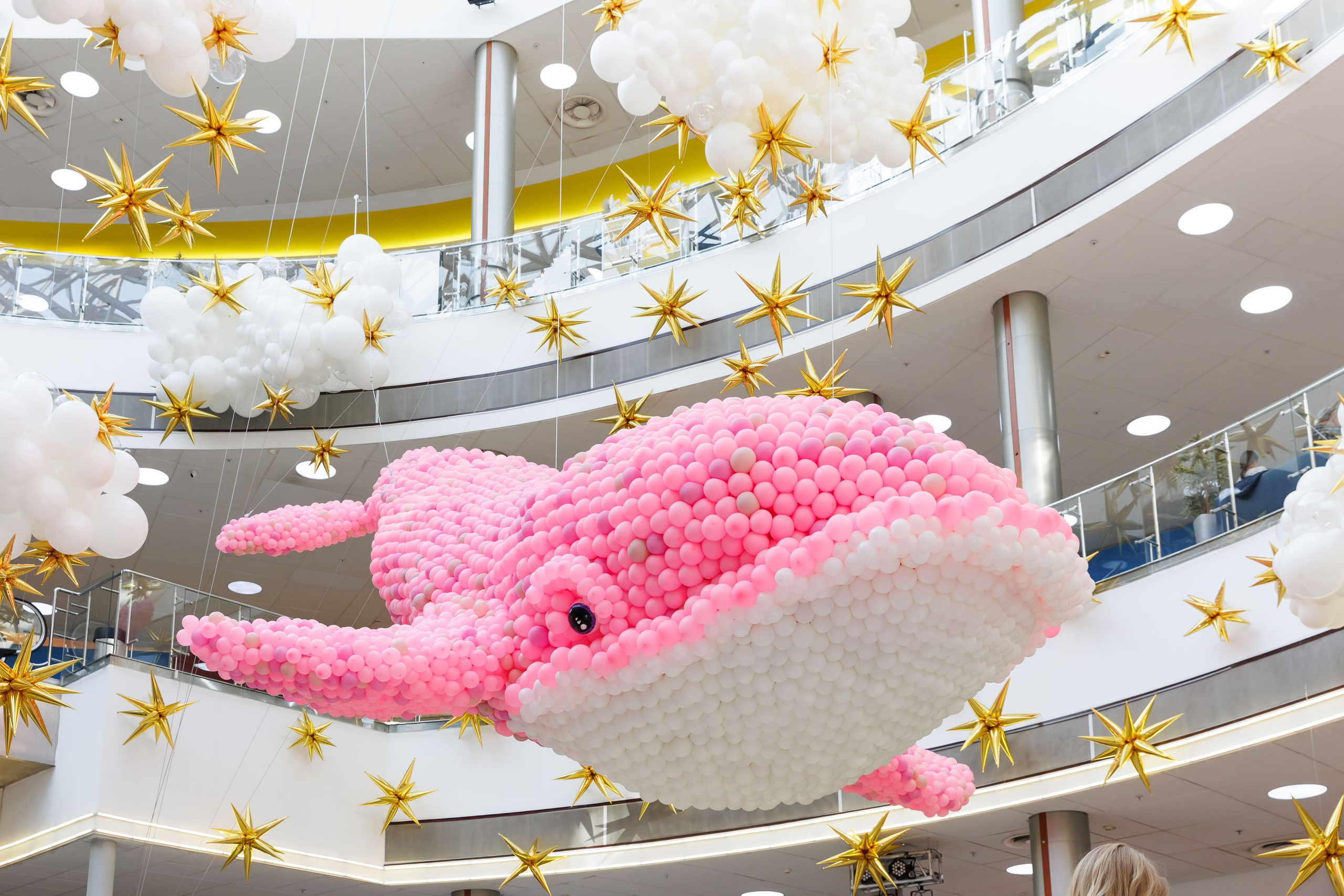 Умная весна 2025. Фотограф Новосибирск — Наталья Гресь