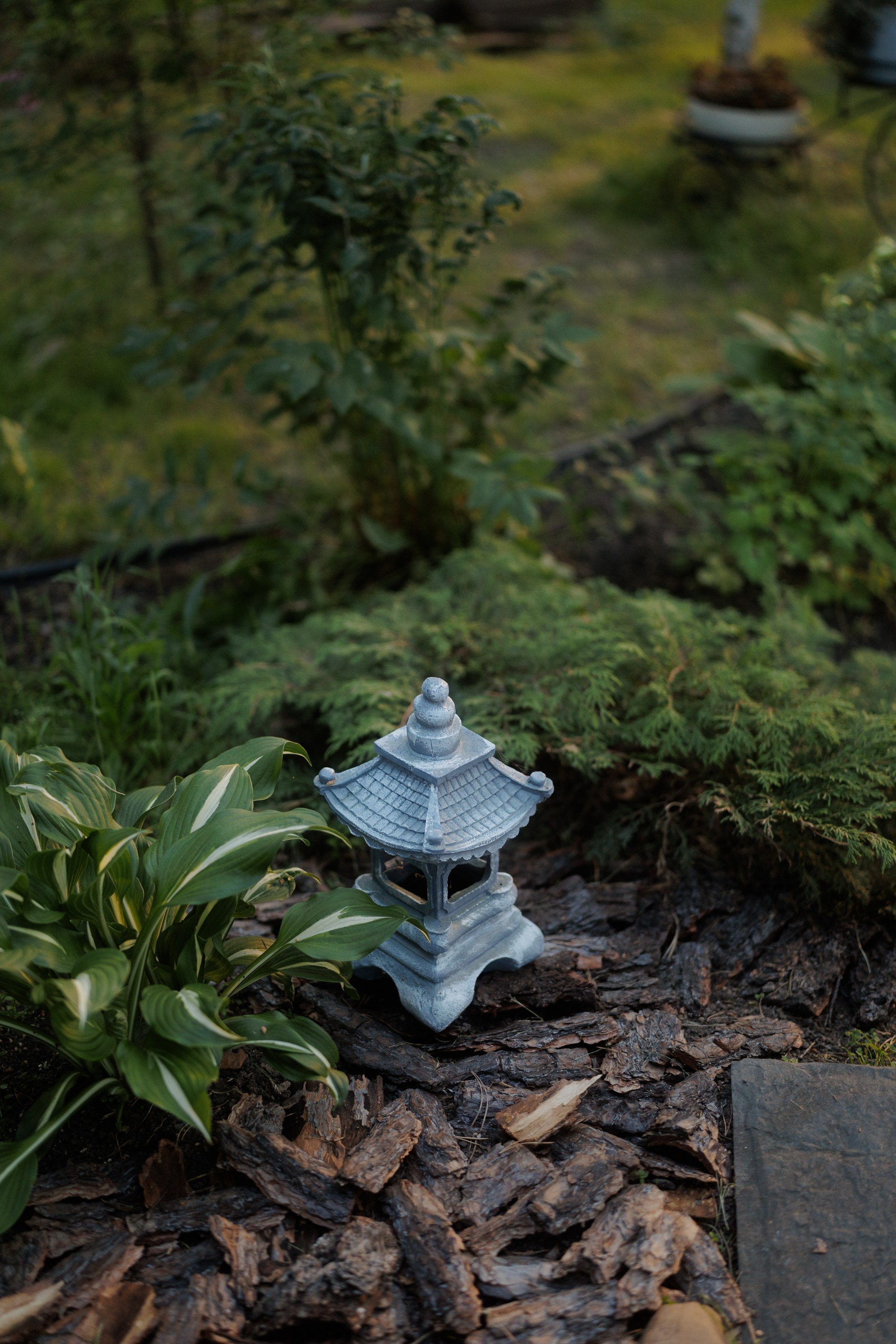 Рядом с тобой я стала лучше. Свадебный фотограф